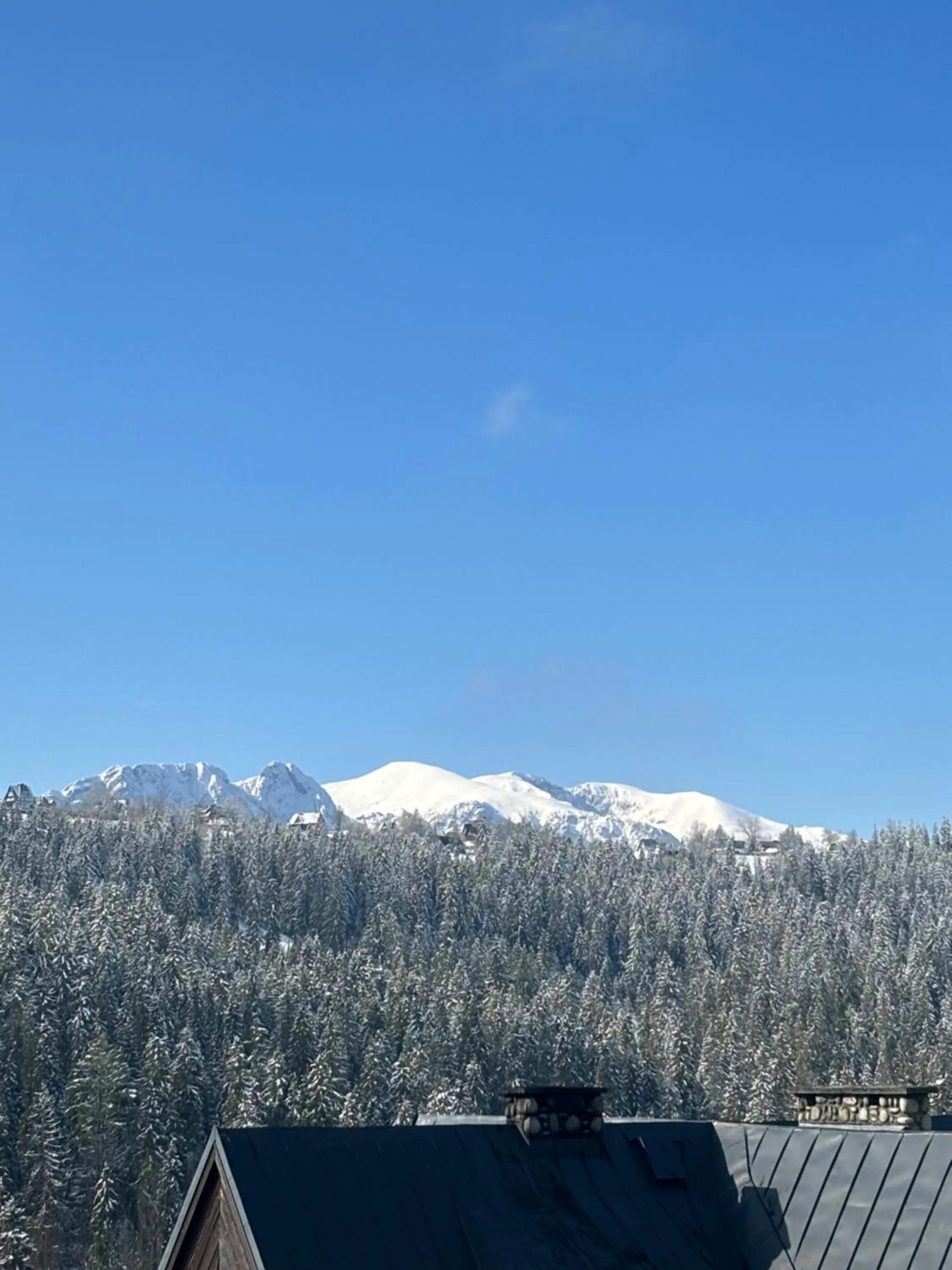 Day in Apartamenty i Pokoje w Willi na Ubocy