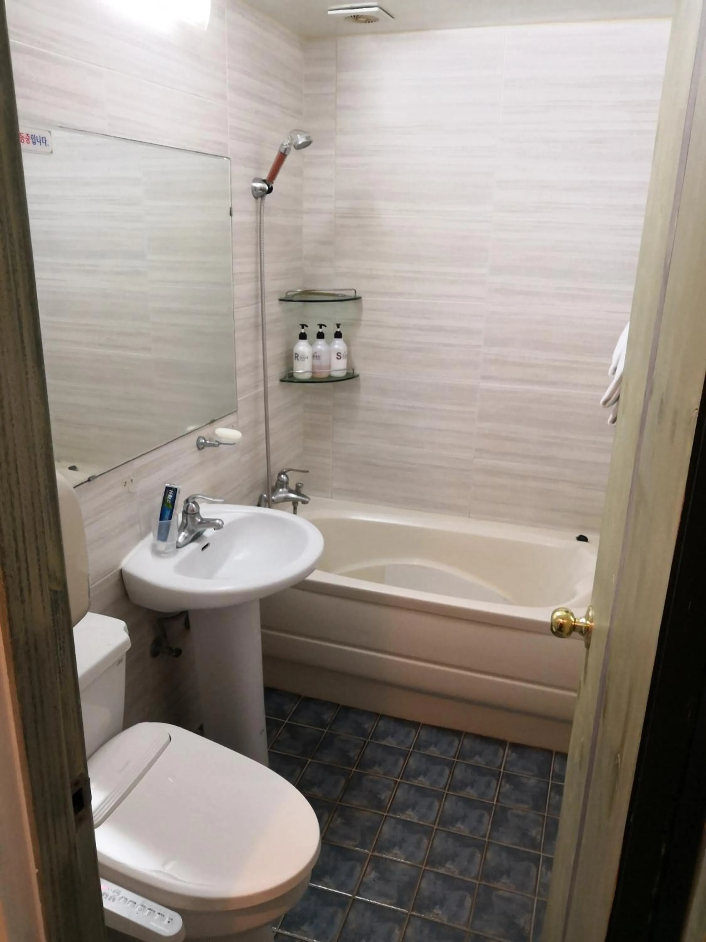 Toilet in Athene Motel