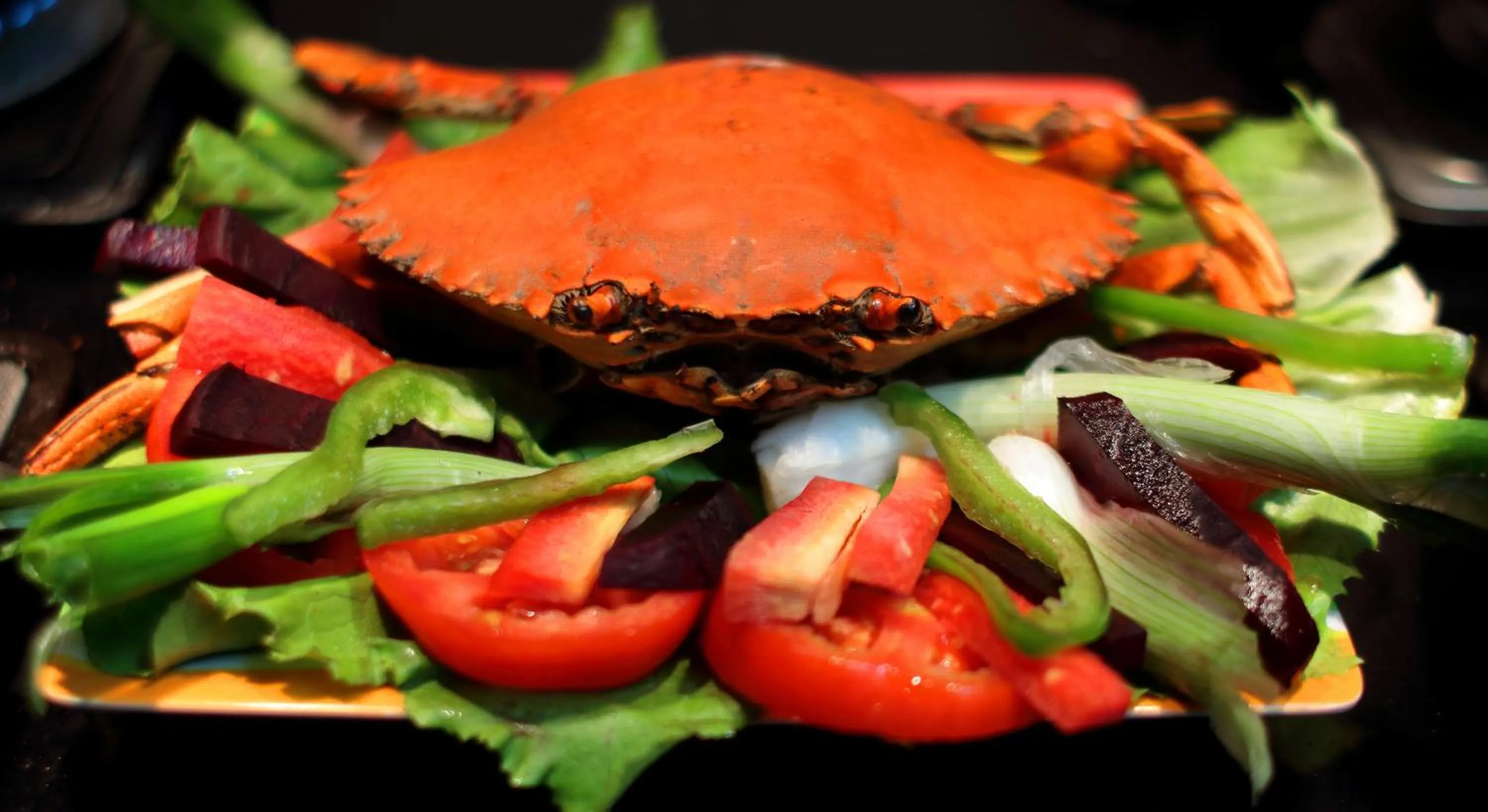 Food close-up in Iora Cottages