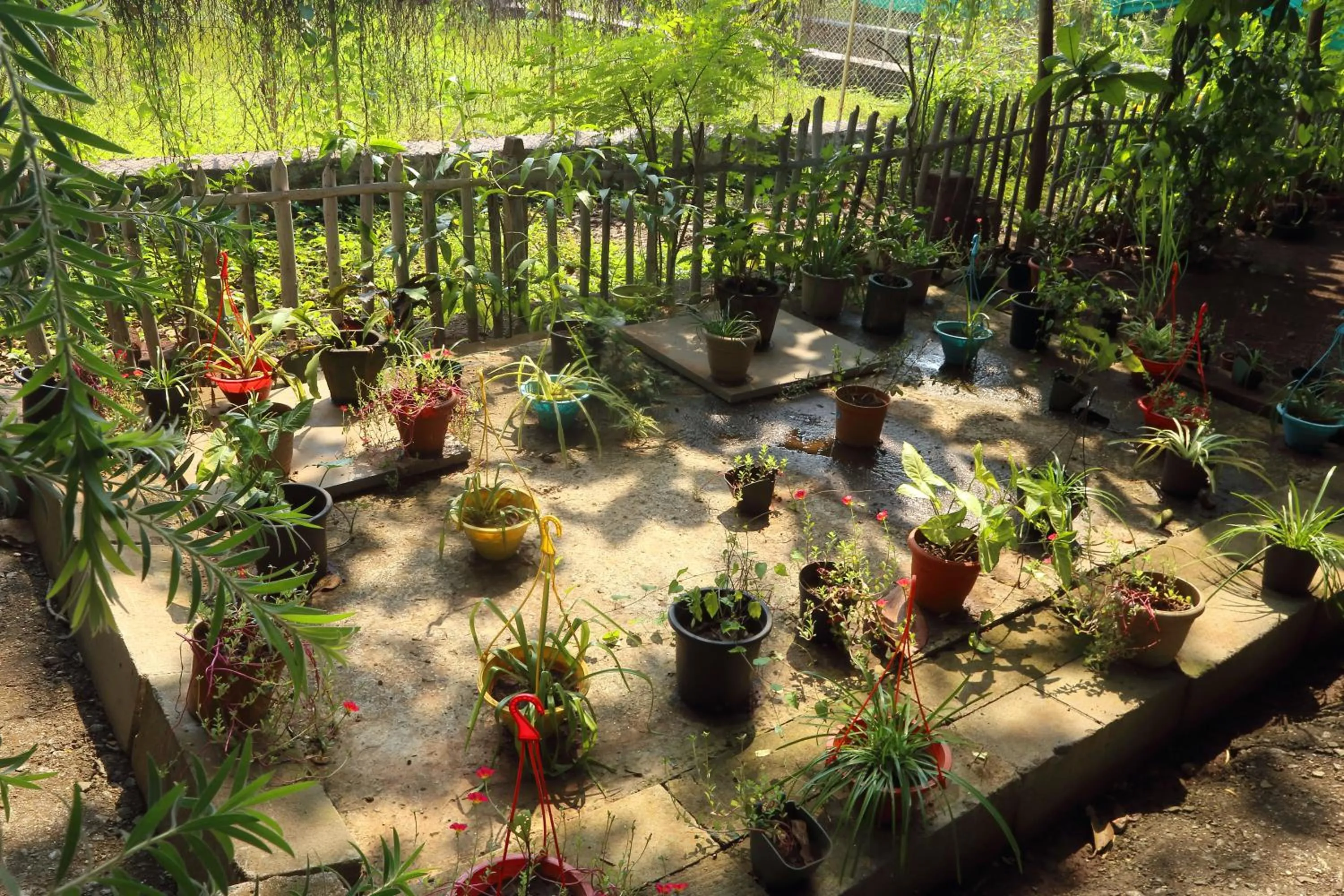 Garden in Iora Cottages