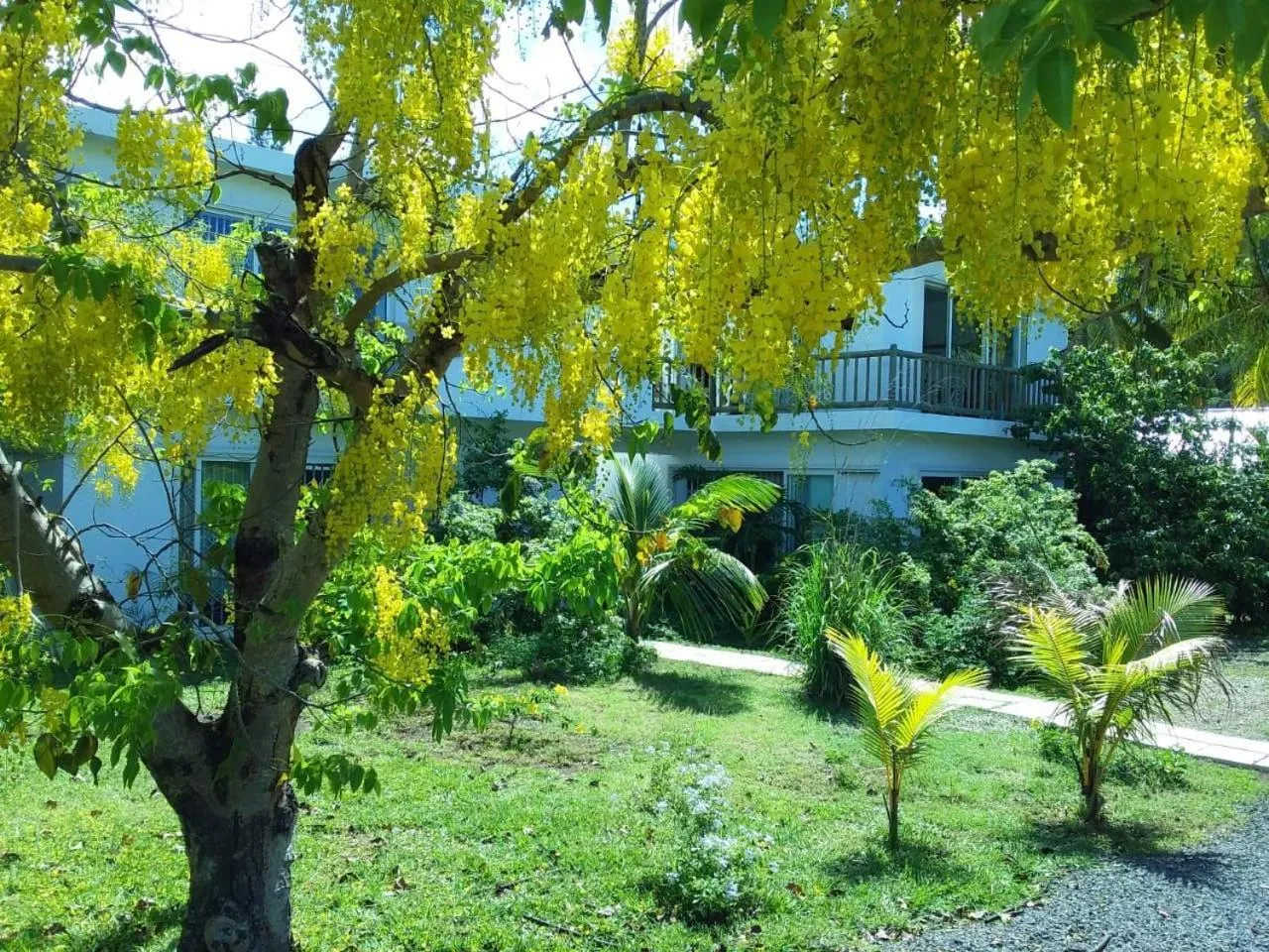 Garden in Cap Heureux Villas