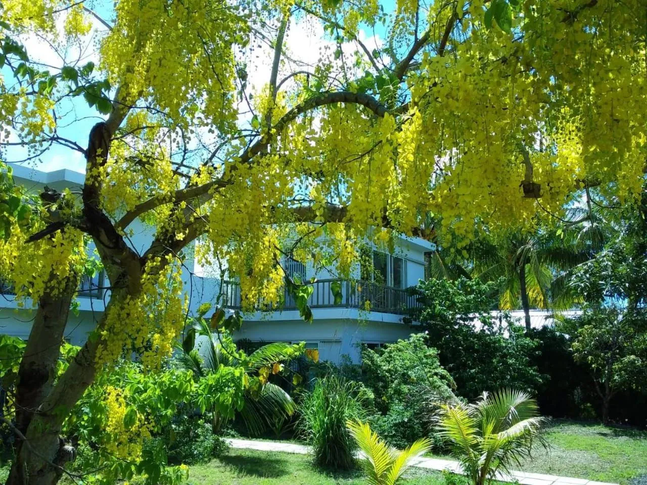 Garden in Cap Heureux Villas