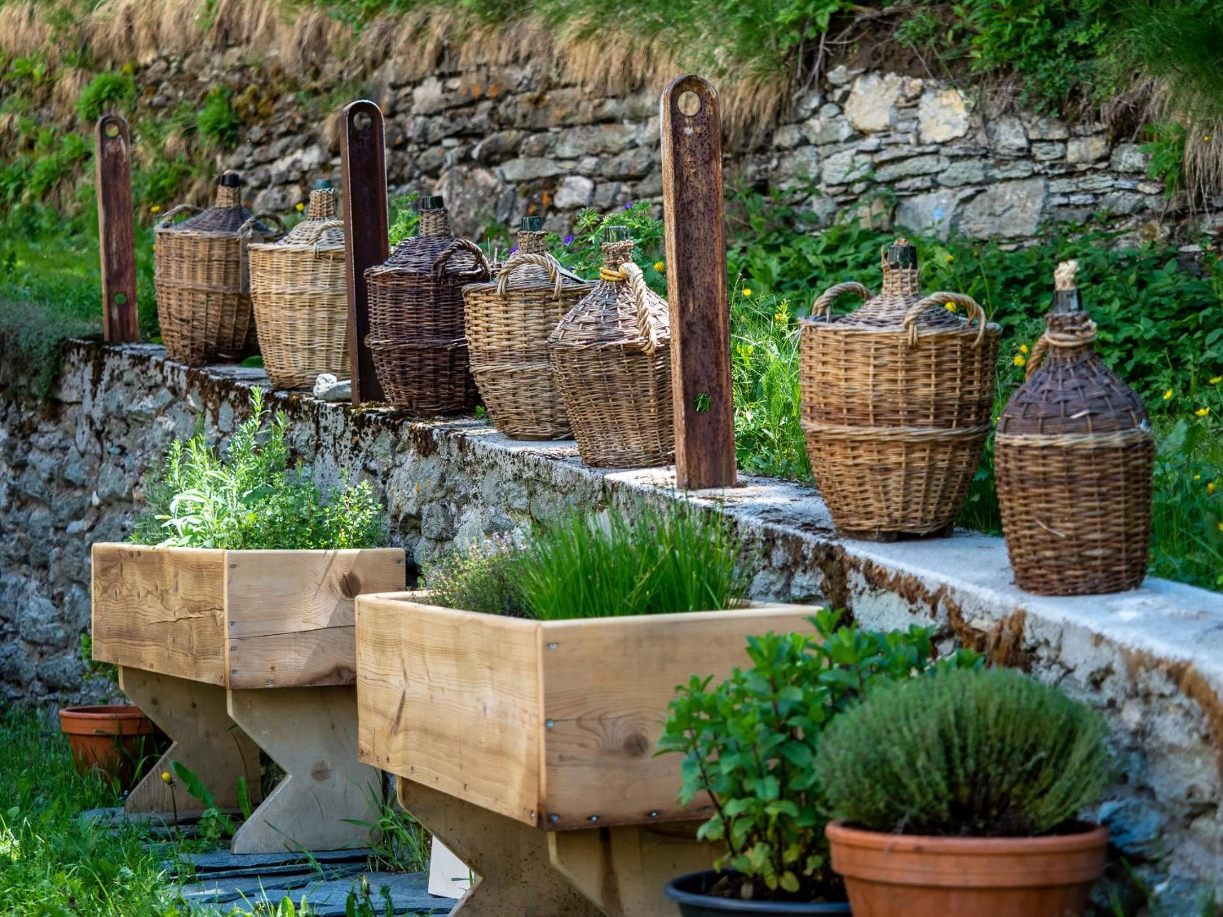 Garden in Hotel Maria