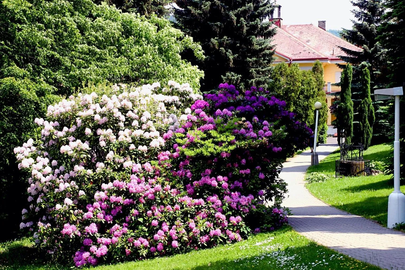Garden view in Spa Resort Libverda - Villa Friedland