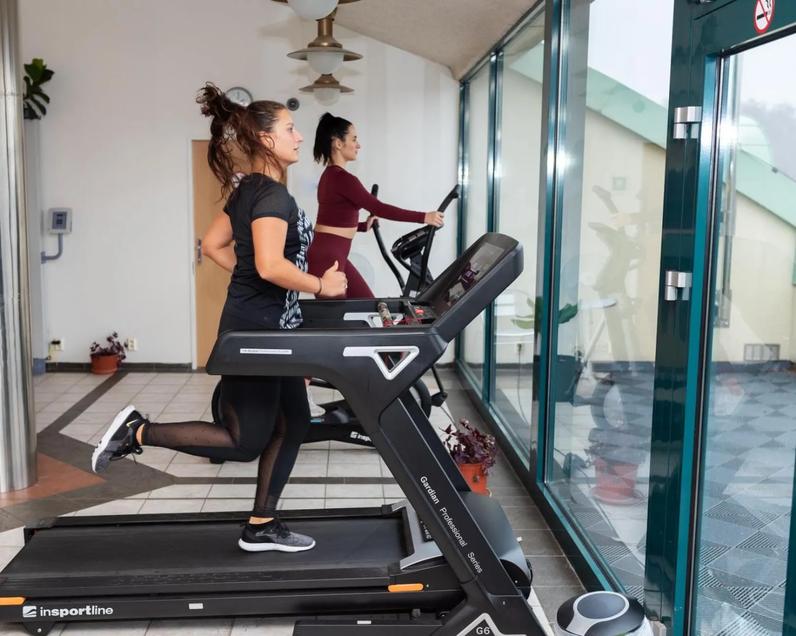 Fitness centre/facilities in Spa Resort Libverda - Villa Friedland
