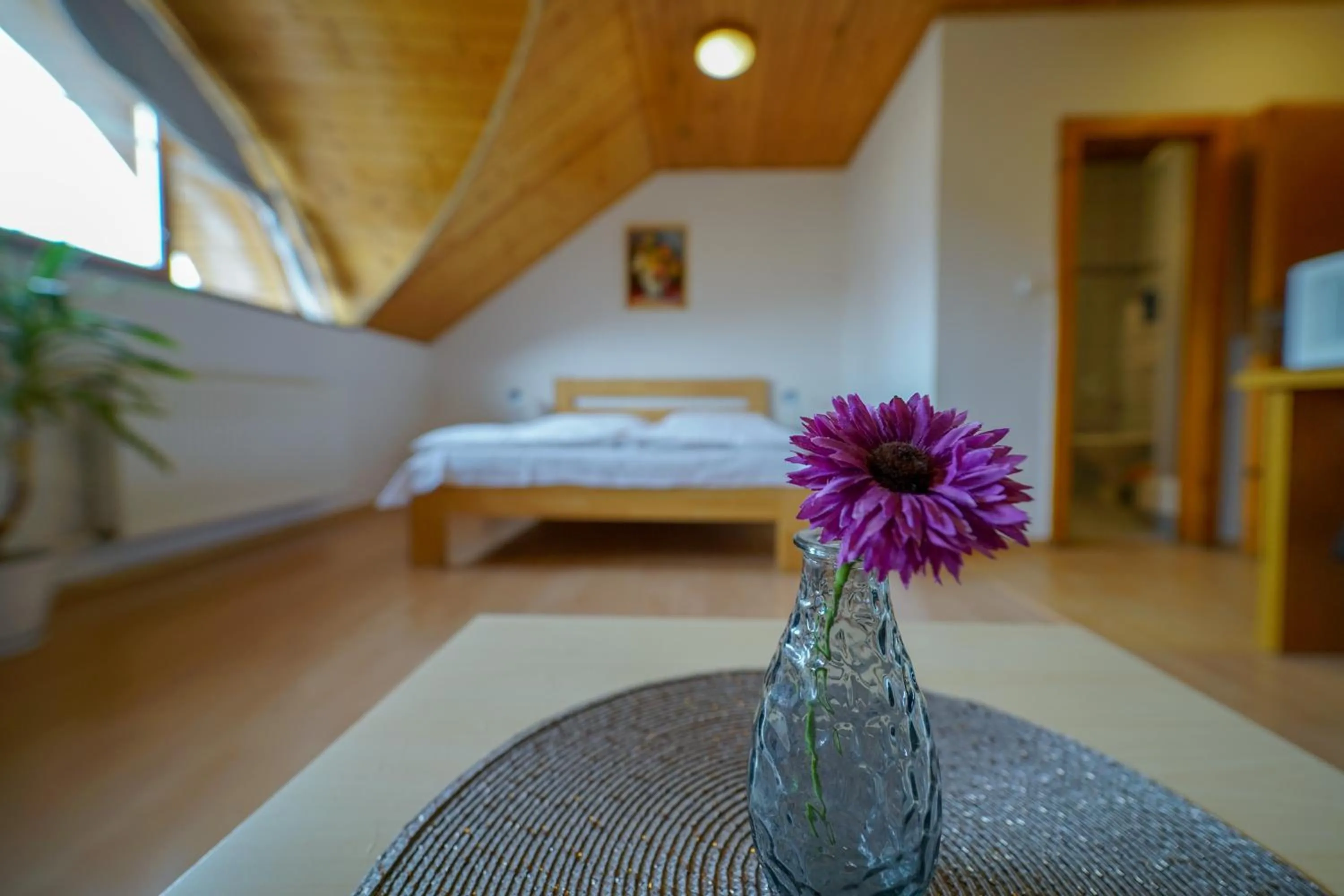 Comfort Double Room - single occupancy in Penzion Fantazia Poprad - Self check-in