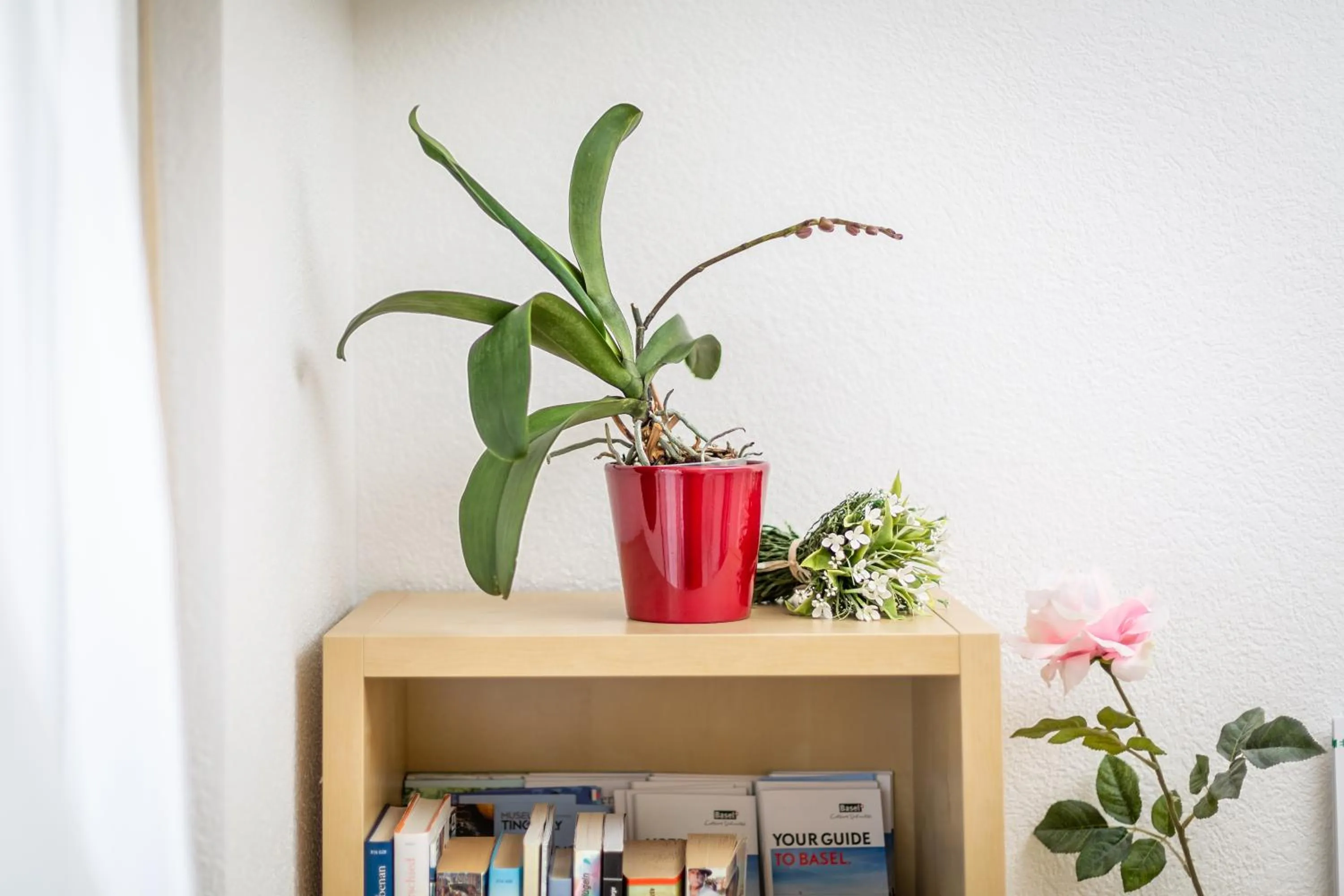 Decorative detail in MyBednBreakfast in Bottmingen