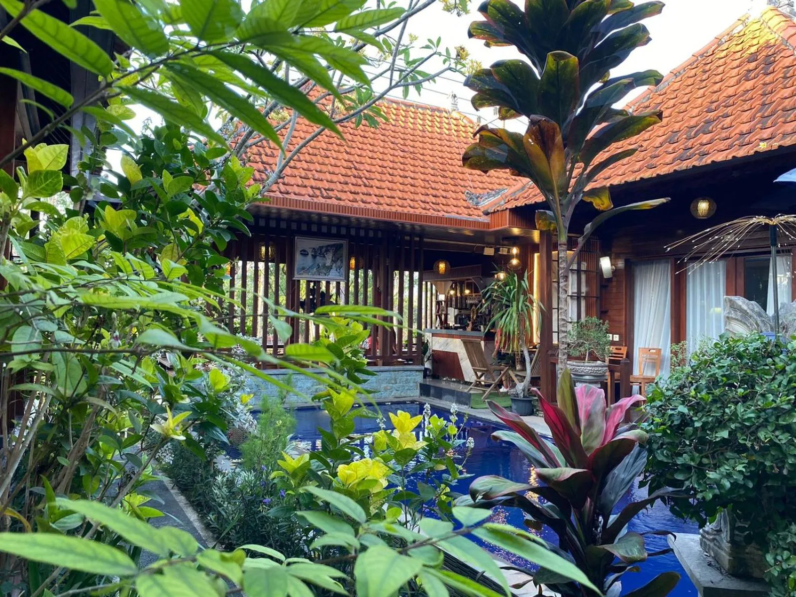 Garden in Wait Garden Cottage