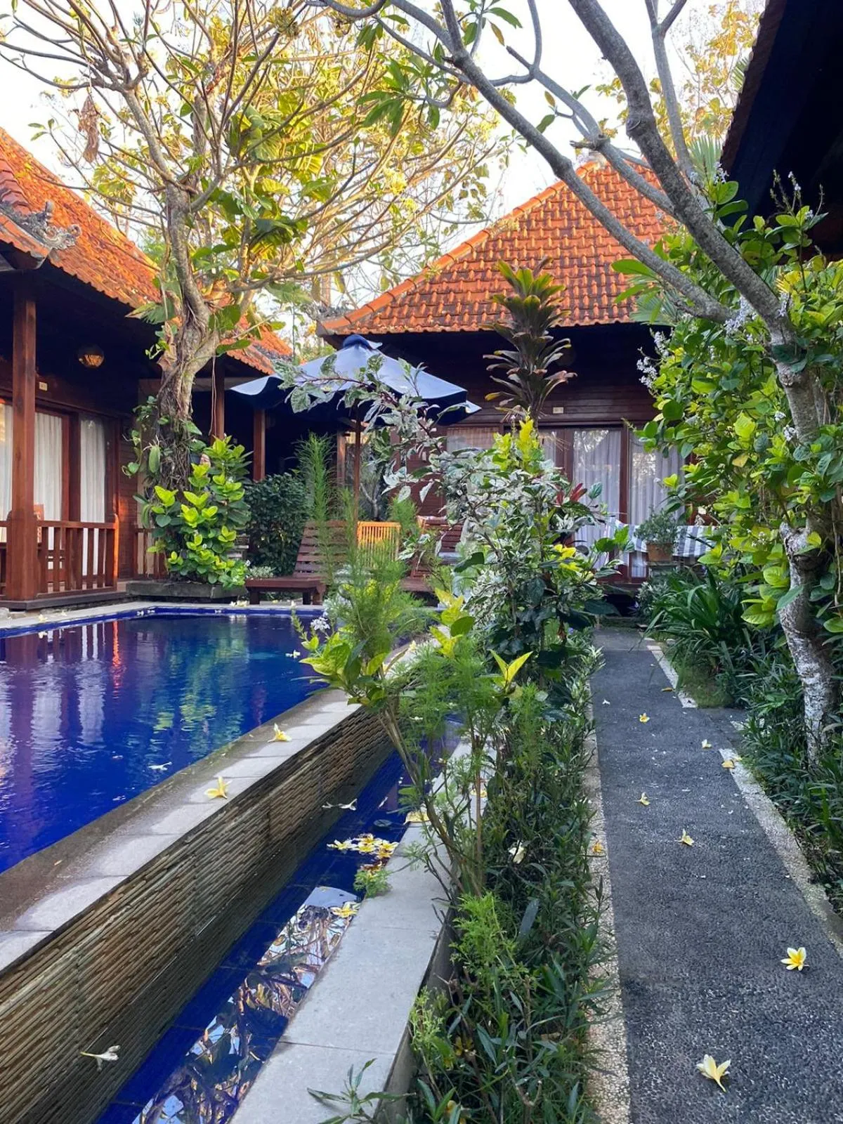 Garden view in Wait Garden Cottage