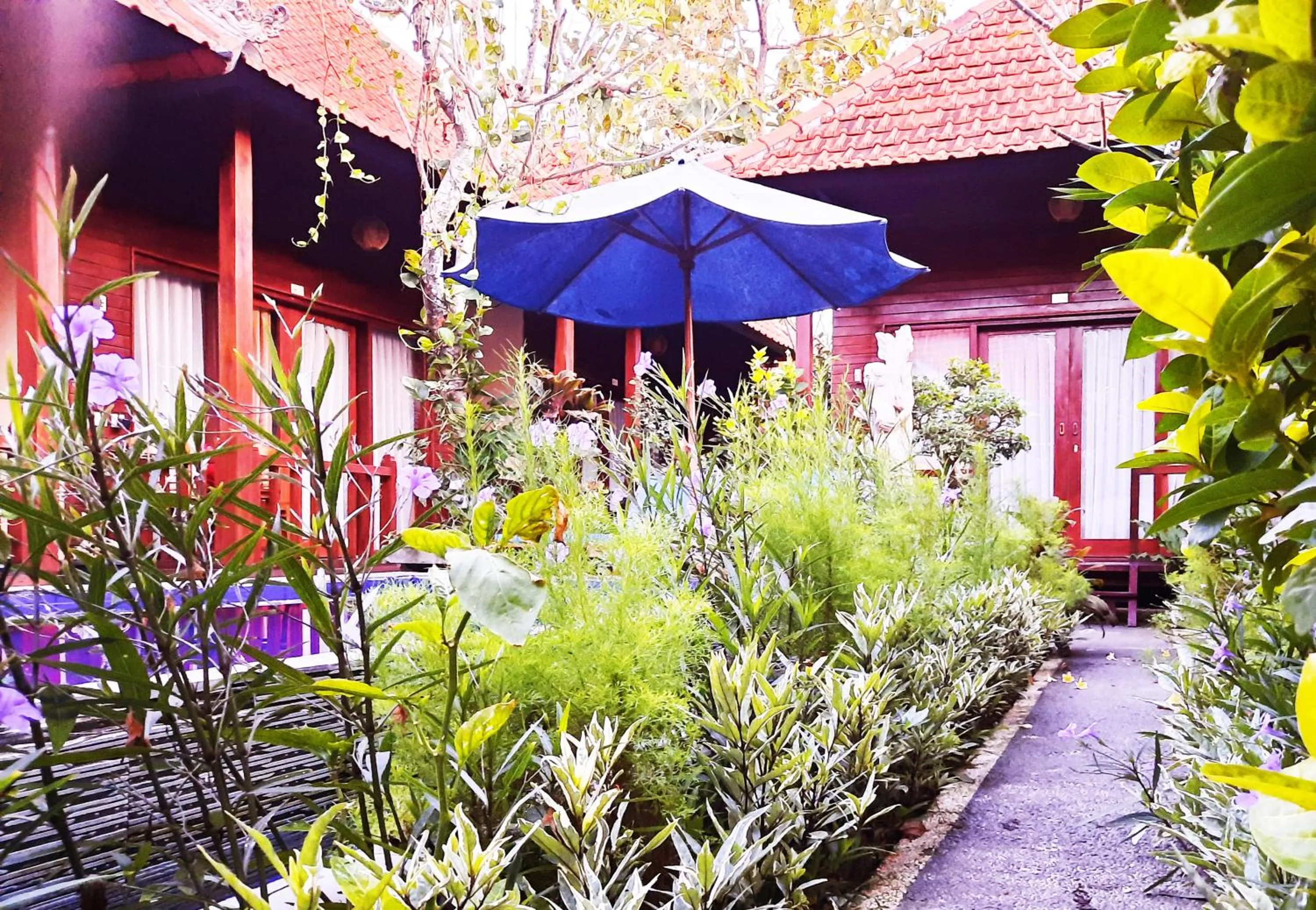 View (from property/room) in Wait Garden Cottage