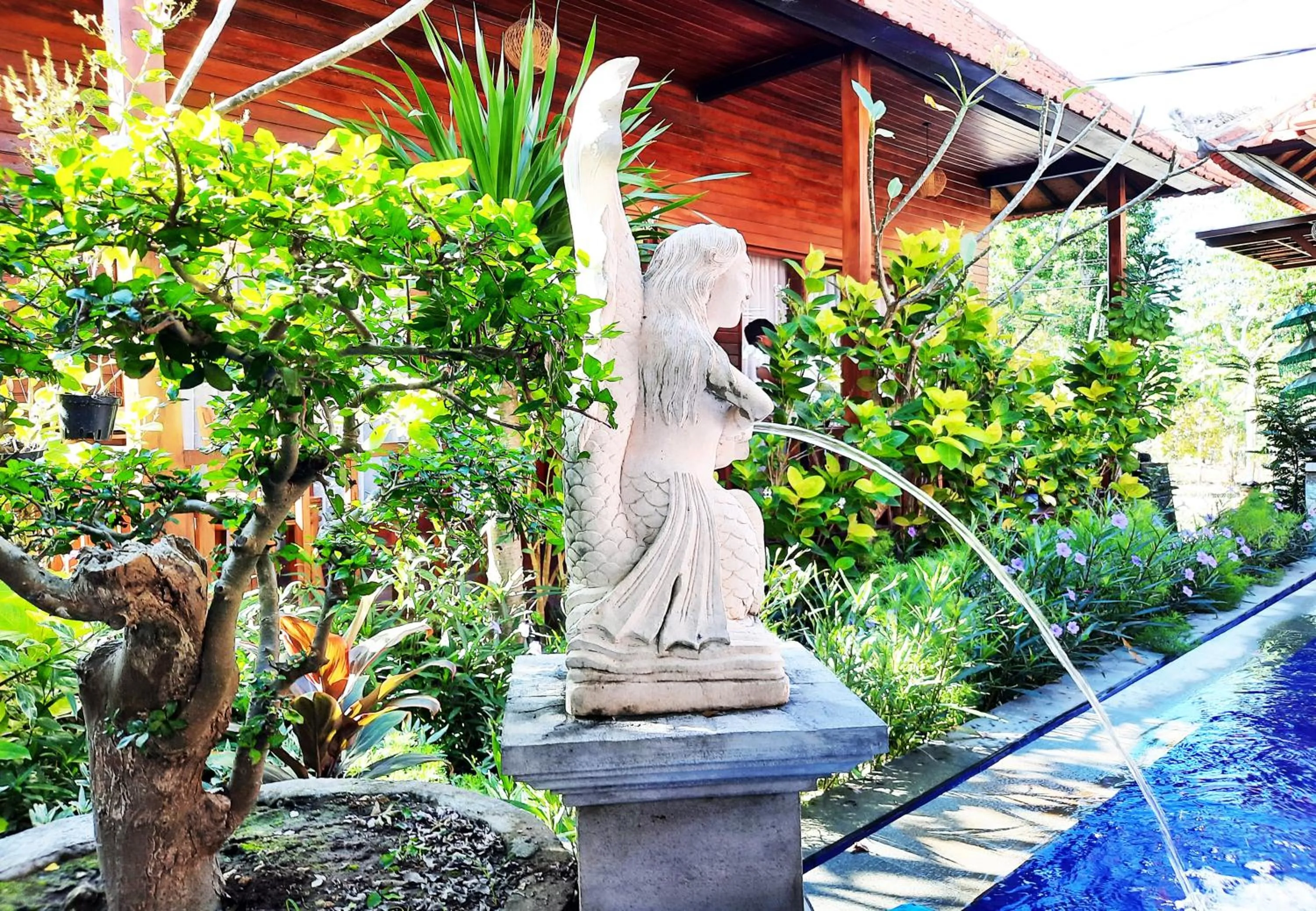 Garden in Wait Garden Cottage