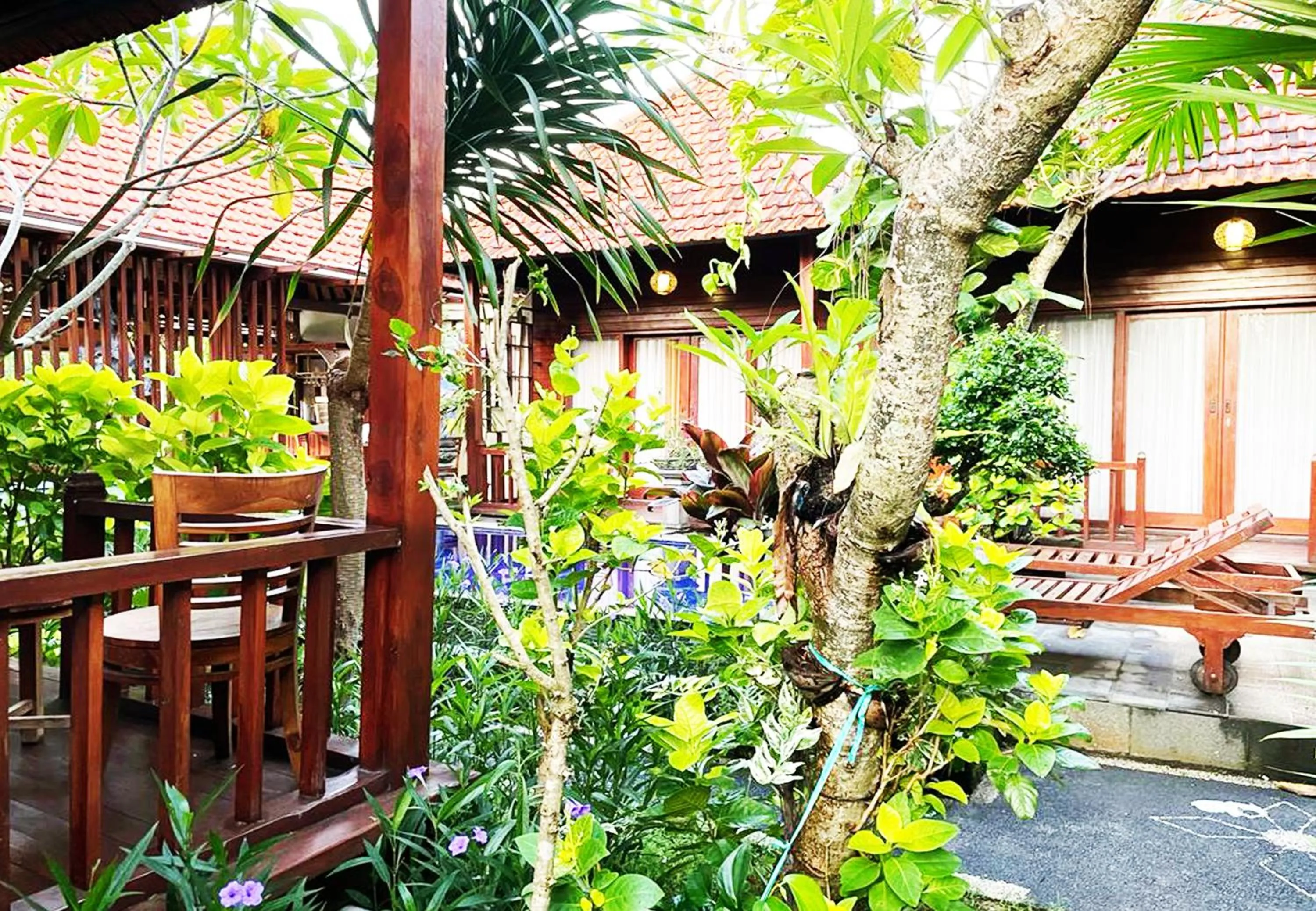 View (from property/room) in Wait Garden Cottage