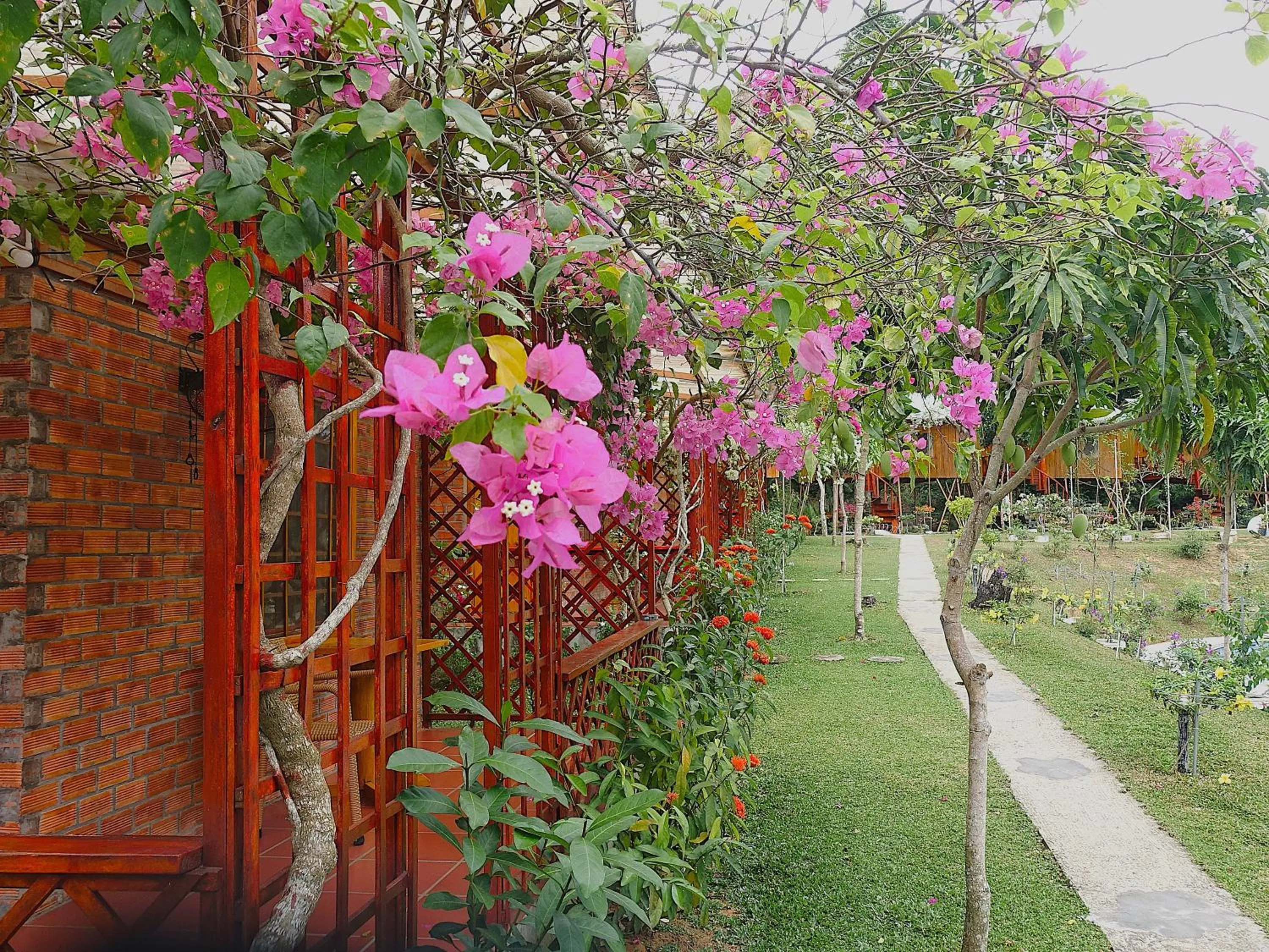 Property building in Phu Quoc Valley Sen Bungalow