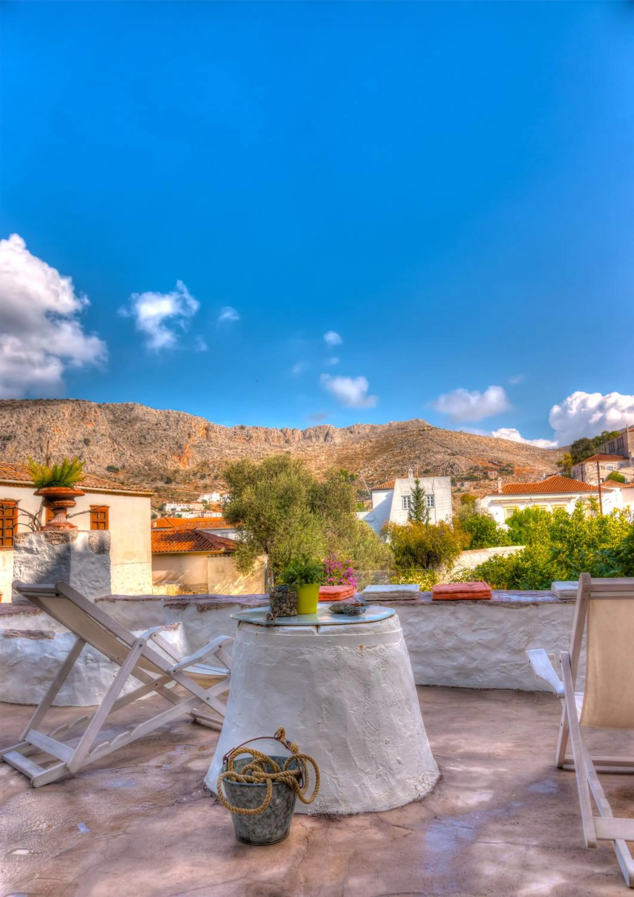 Cotommatae Hydra 1810