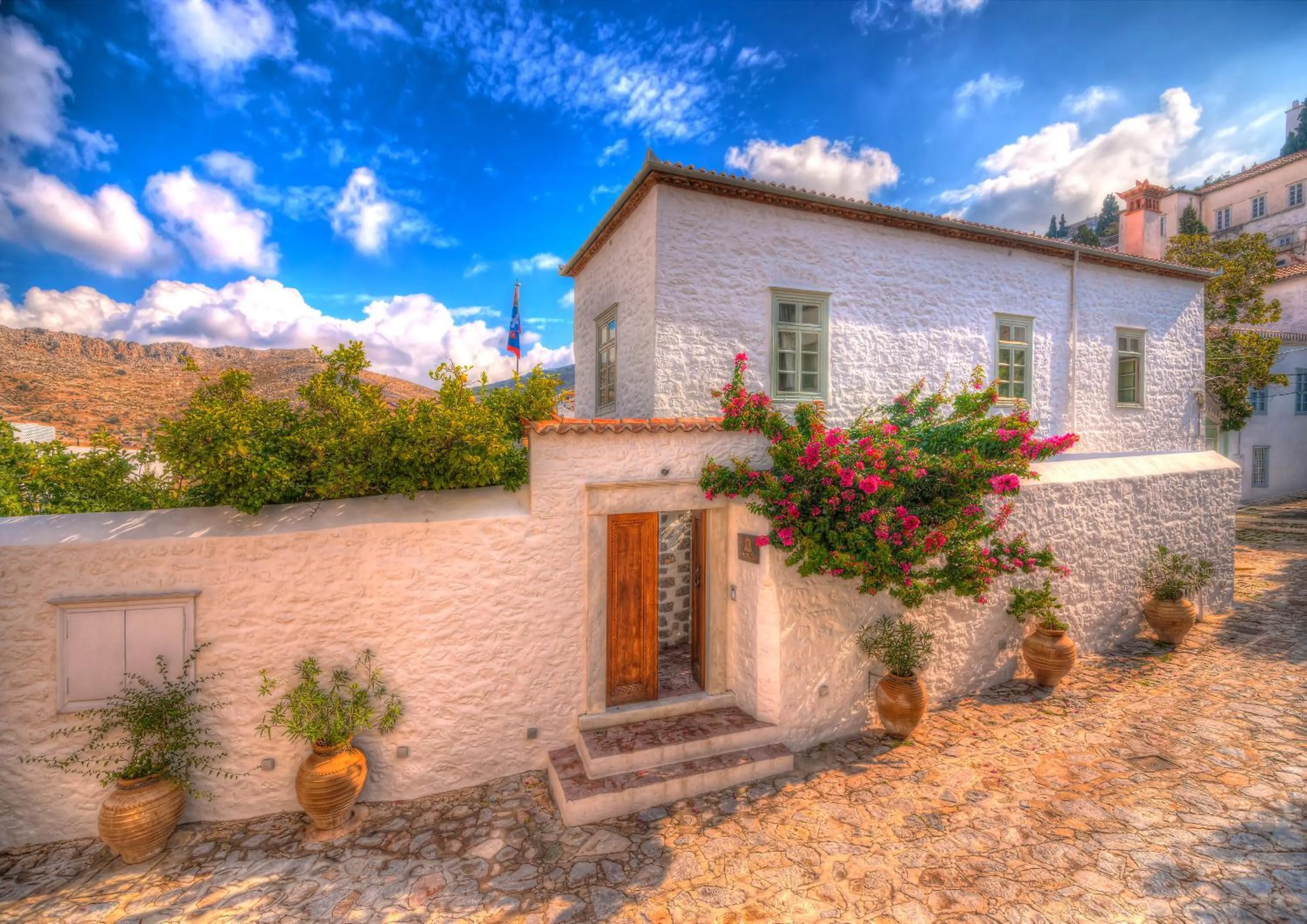 Cotommatae Hydra 1810