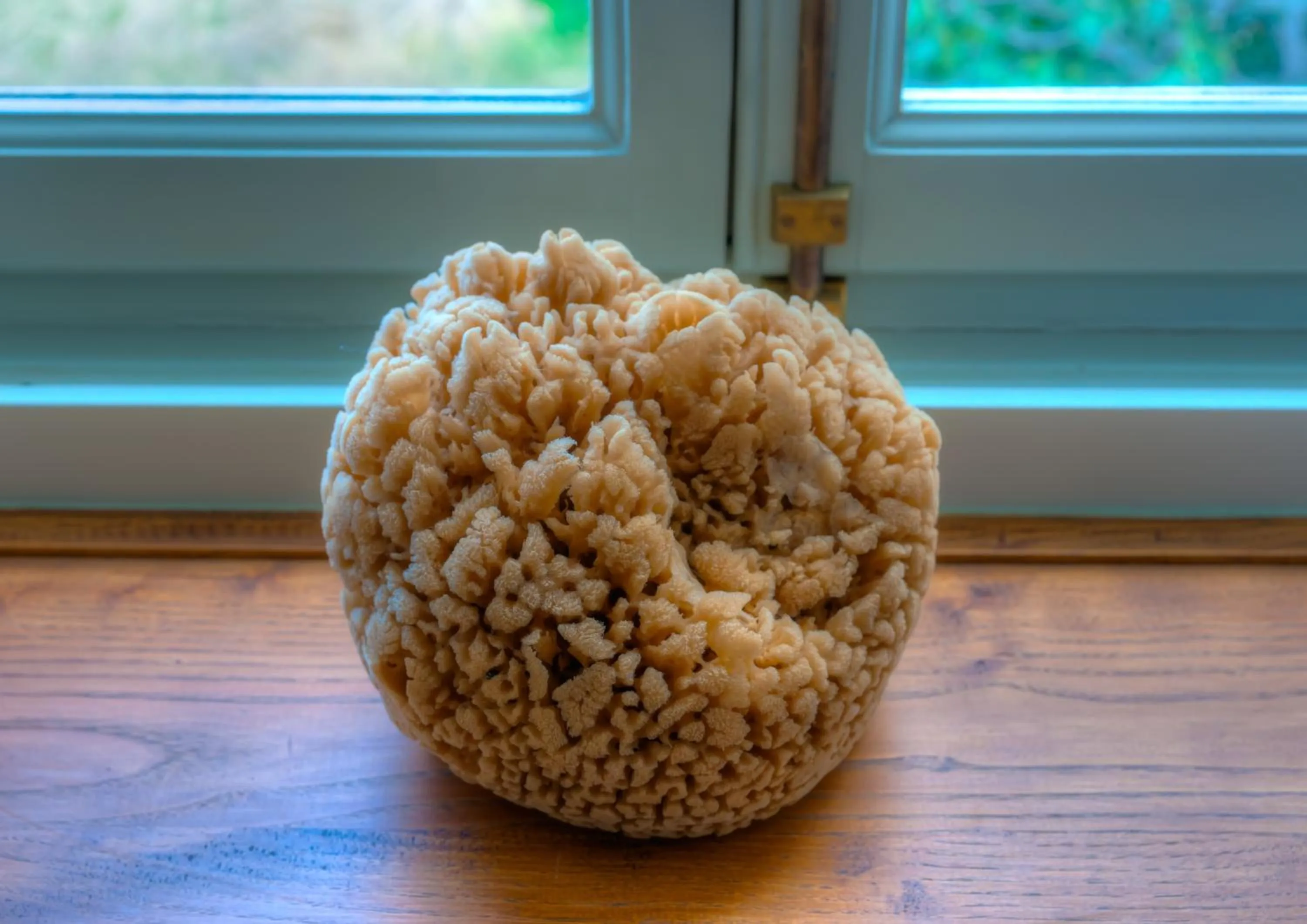 Lobby or reception in Cotommatae Hydra 1810