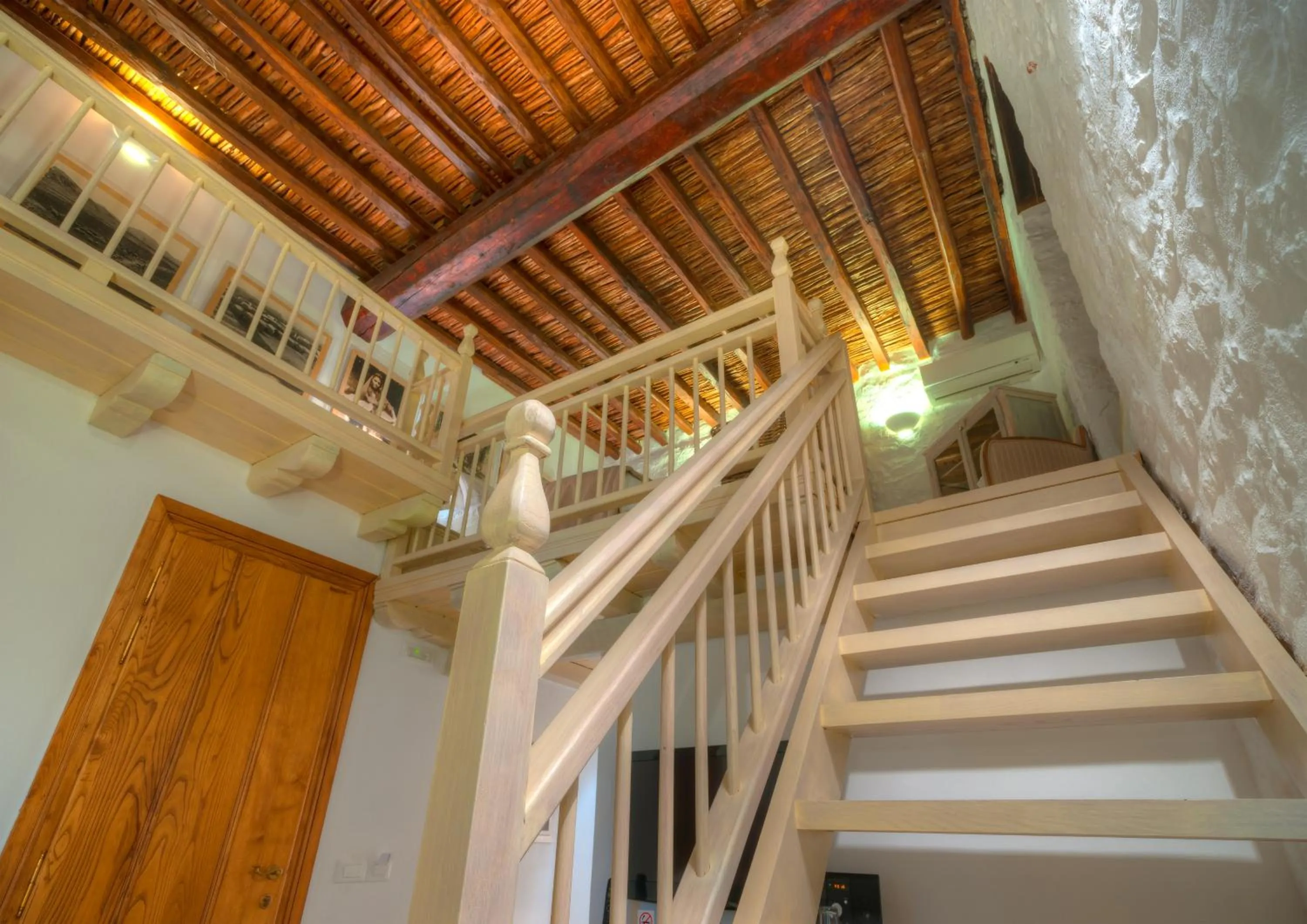 Cotommatae Hydra 1810