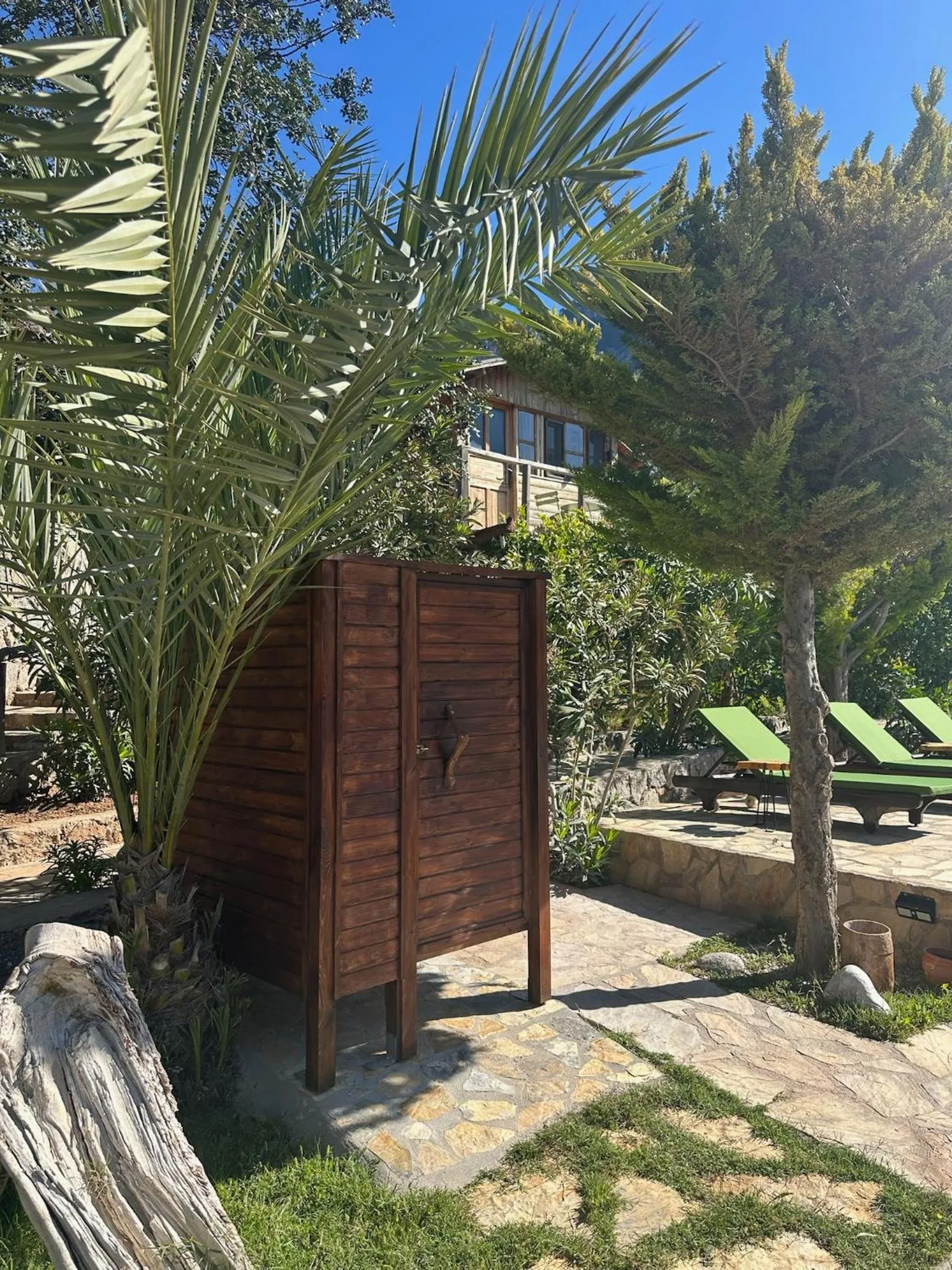 Swimming pool in Olive Garden Kabak
