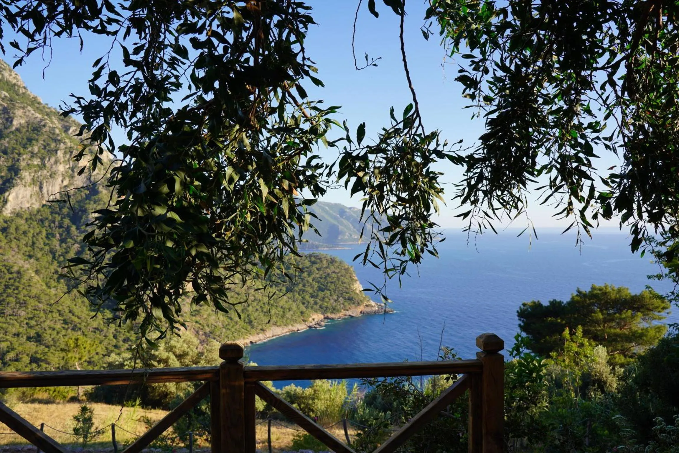 Natural landscape in Olive Garden Kabak