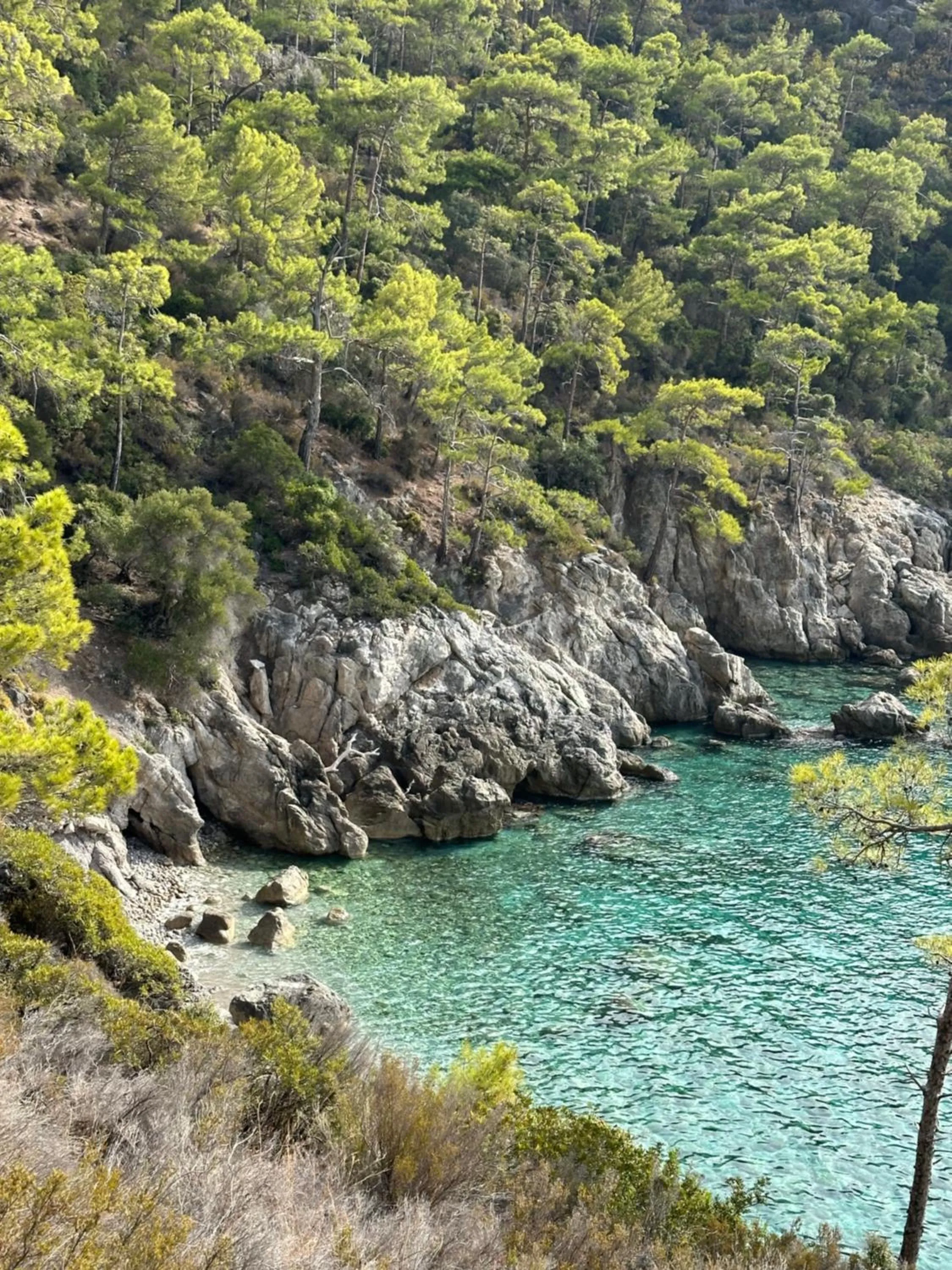 Area and facilities in Olive Garden Kabak