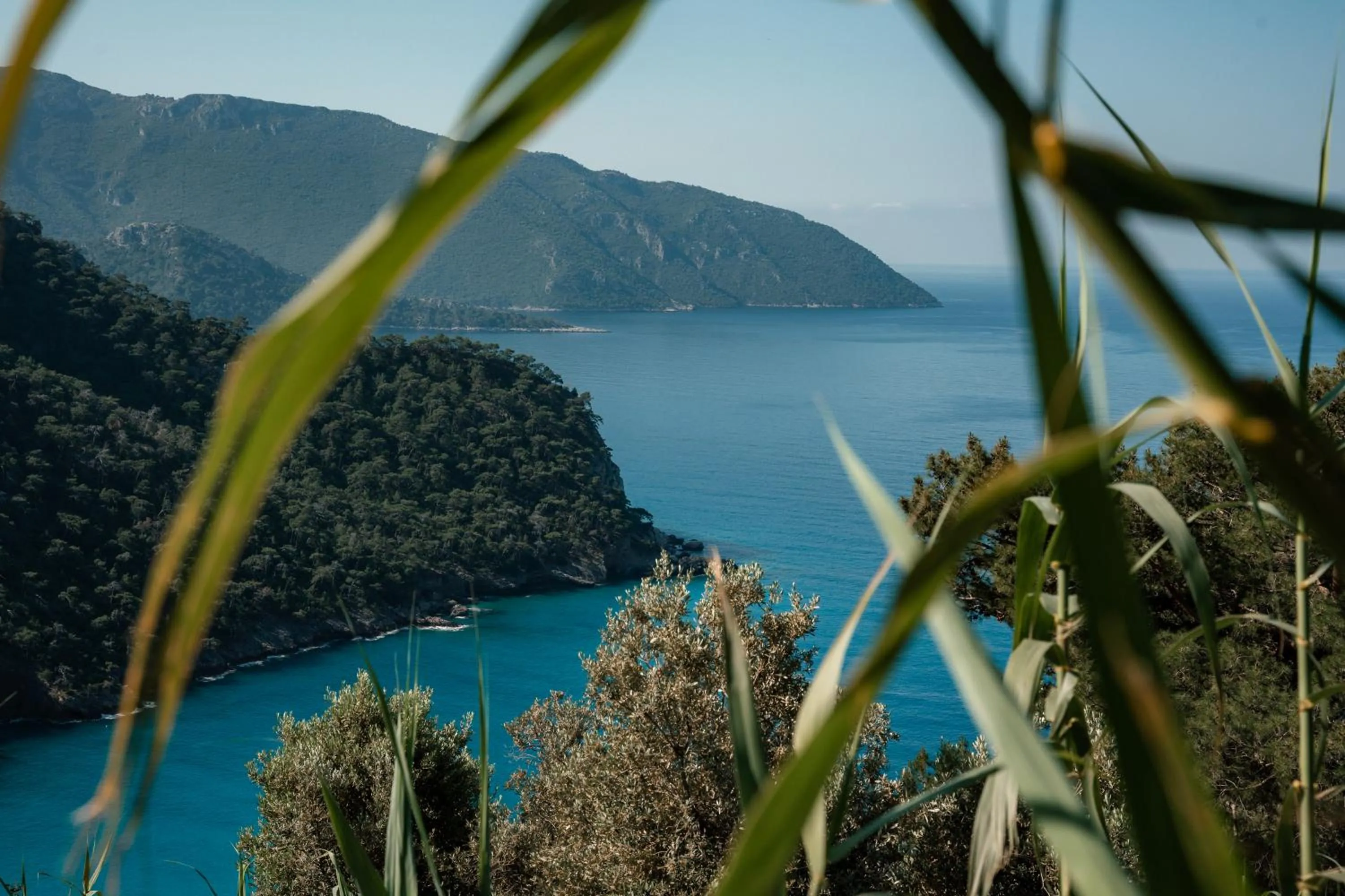 Natural landscape in Olive Garden Kabak