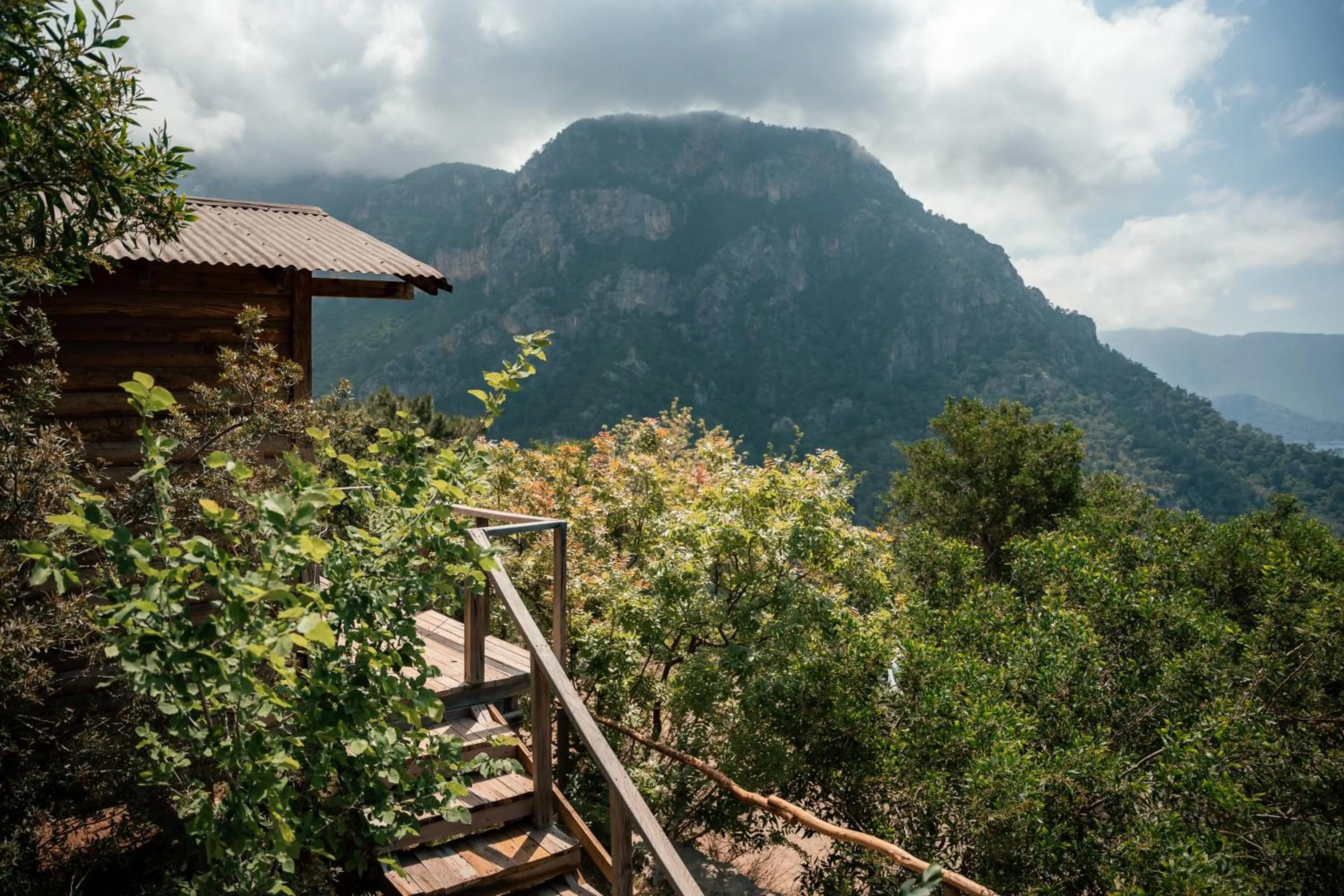 Mountain view in Olive Garden Kabak
