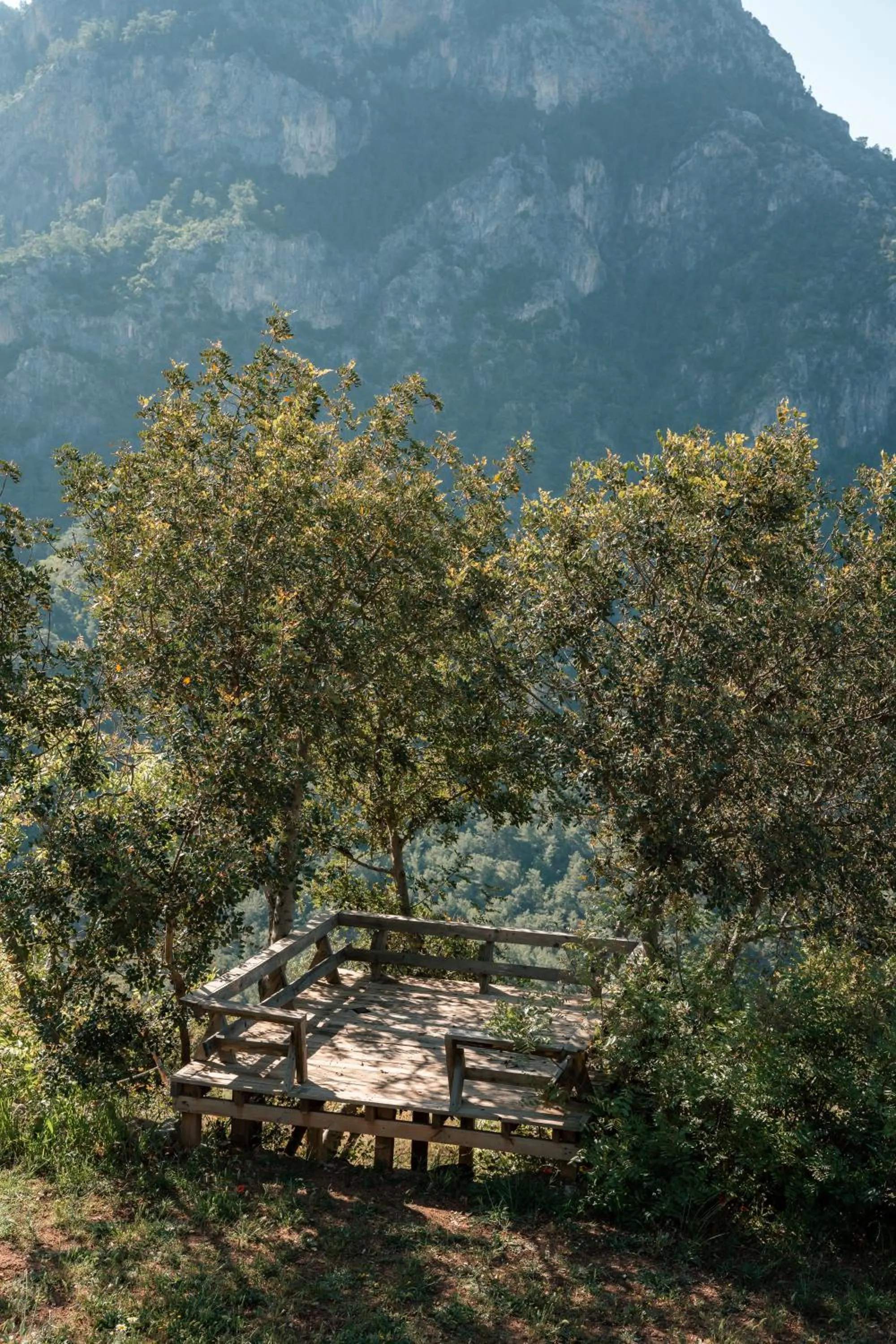 Property building in Olive Garden Kabak