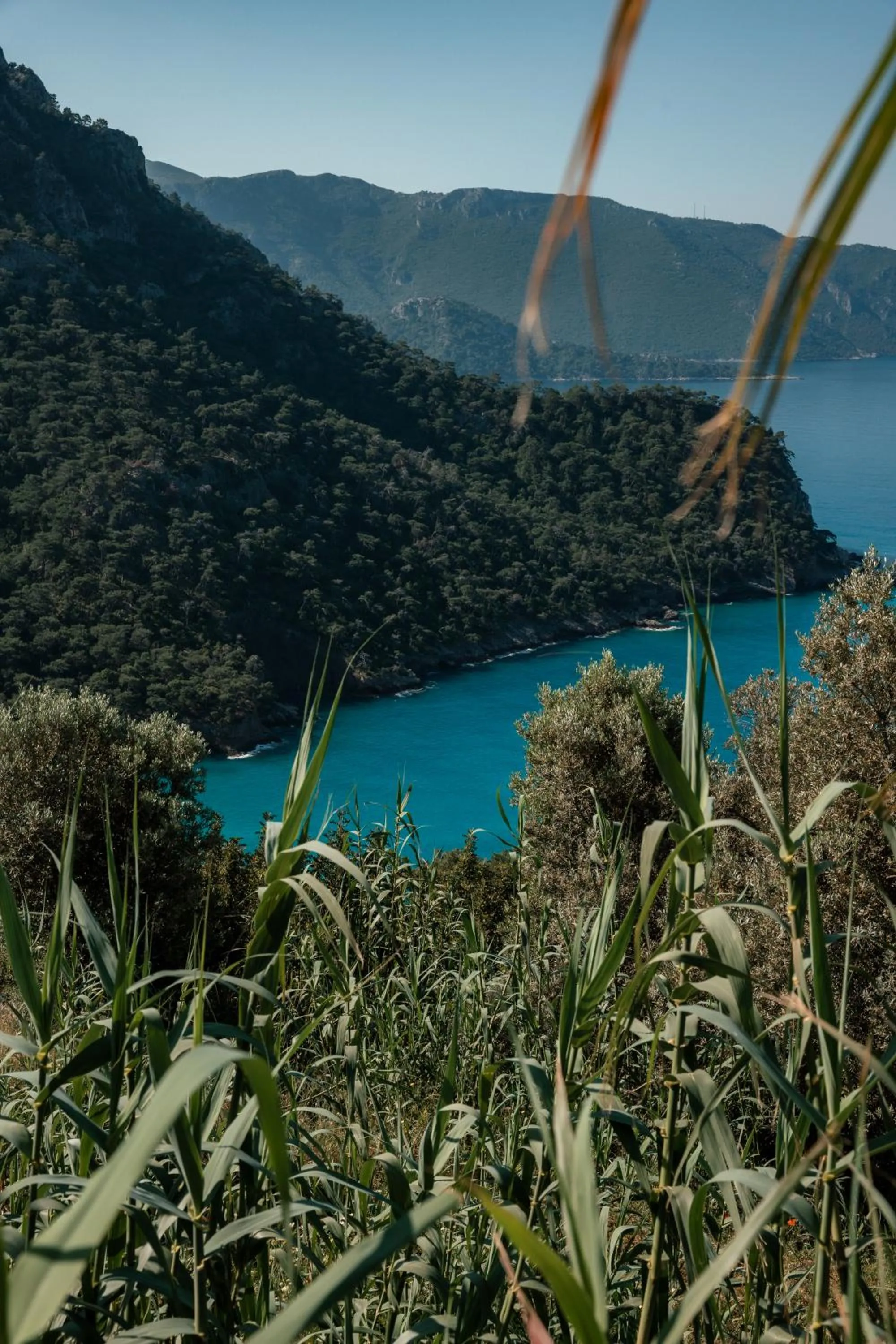 Sea view in Olive Garden Kabak
