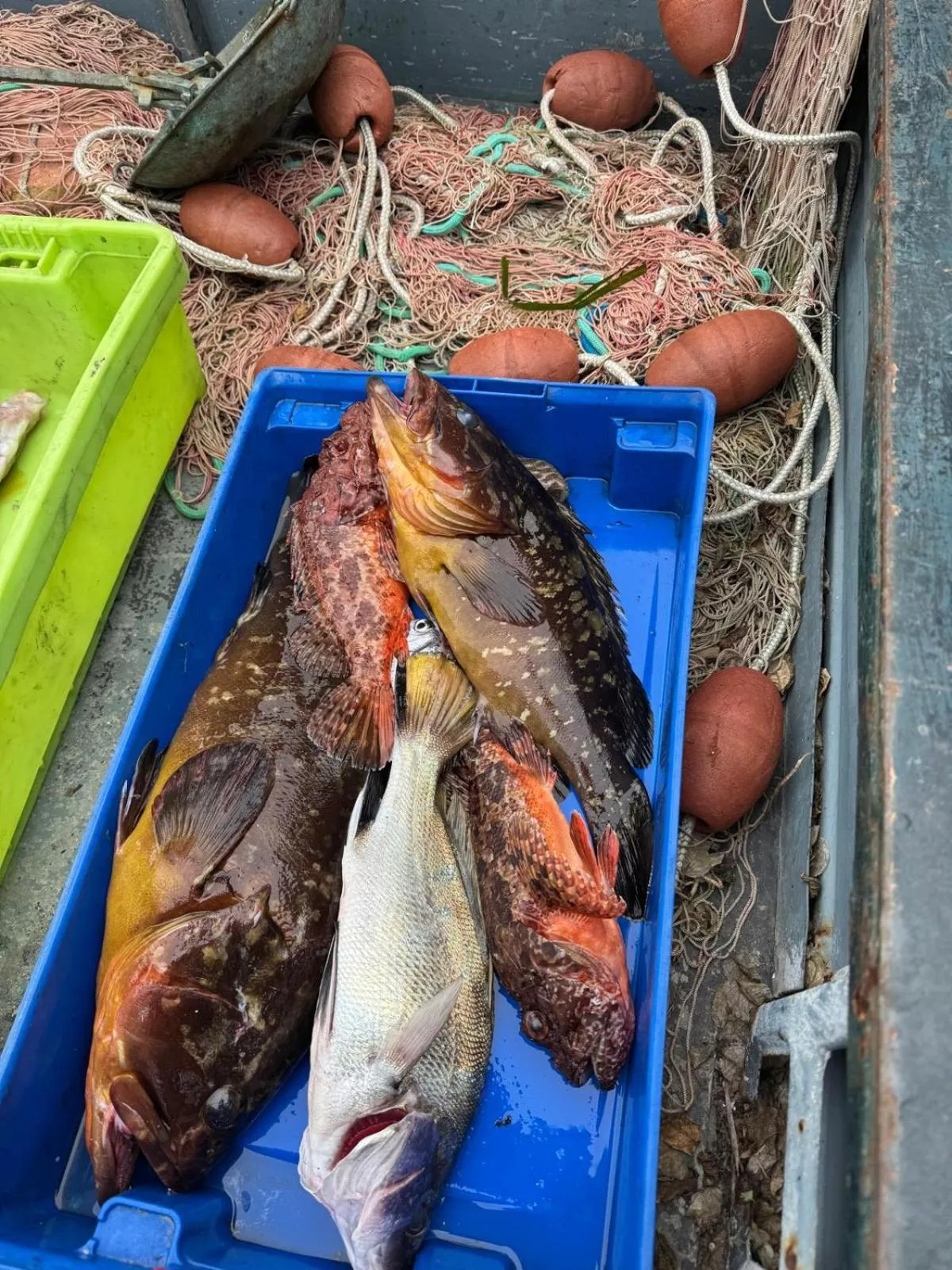 Restaurant/places to eat in Hotel Parco Delle Agavi