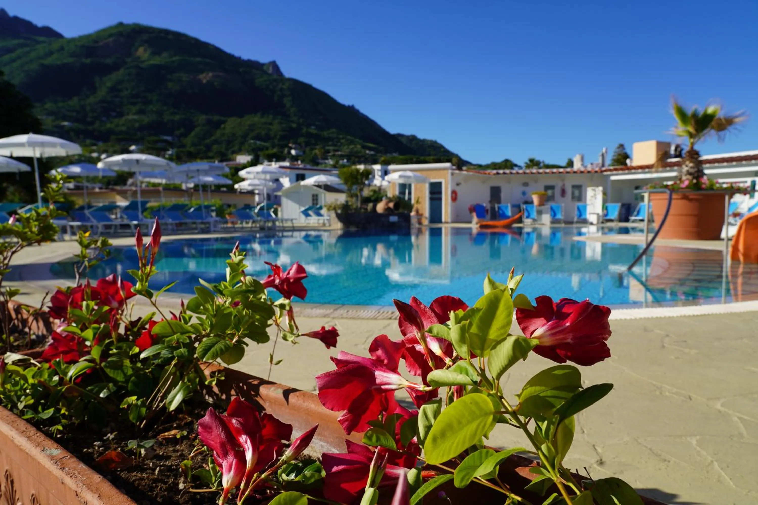 Swimming pool in Hotel Parco Delle Agavi