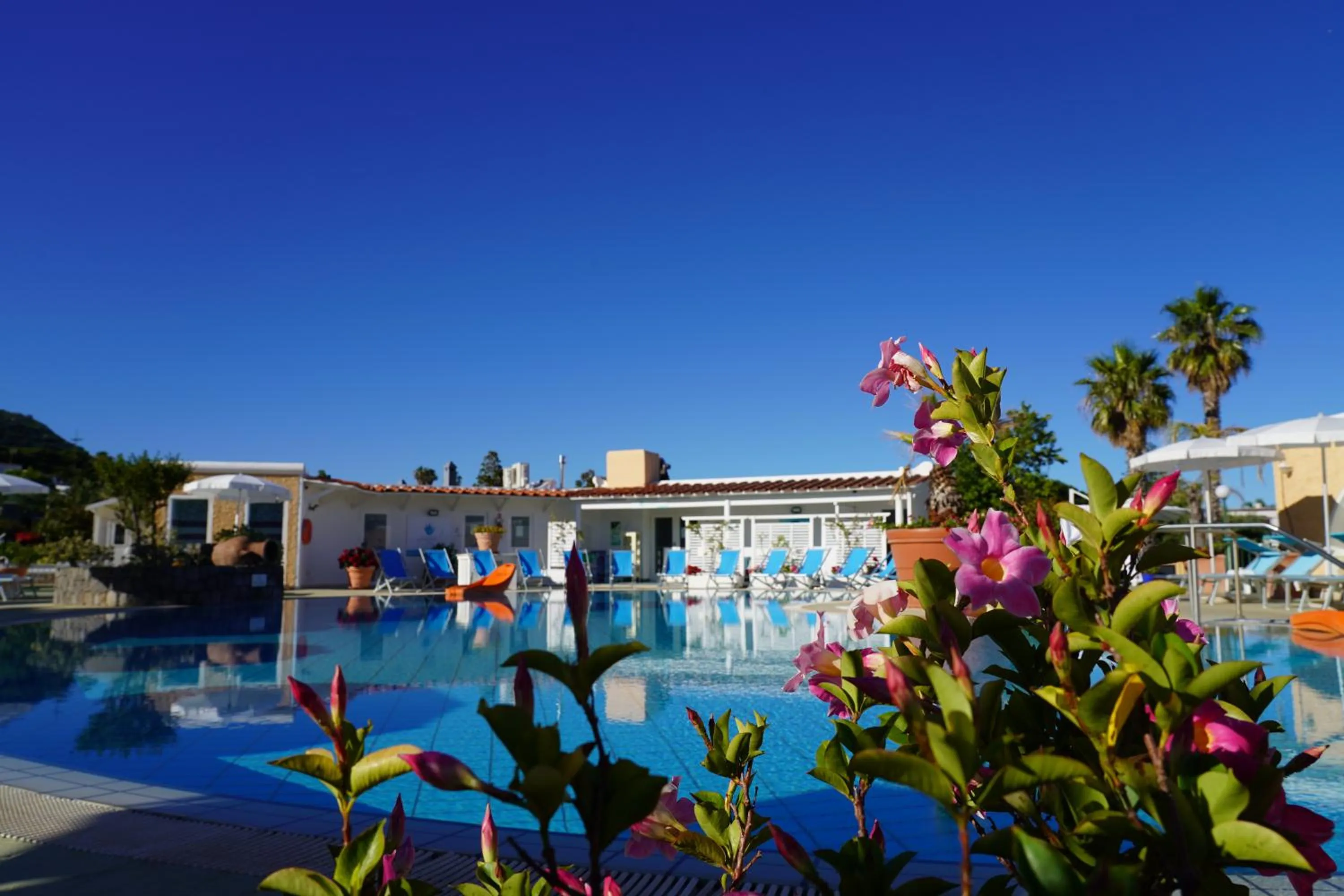 Swimming pool in Hotel Parco Delle Agavi
