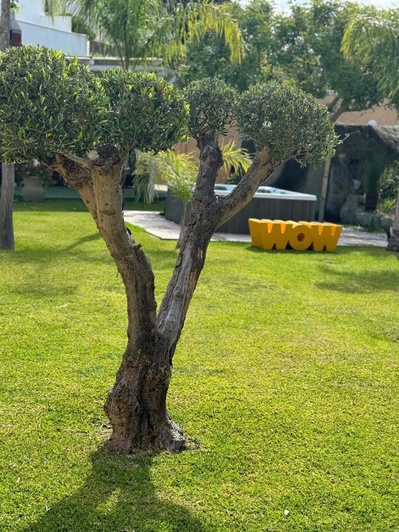 Spring in Hotel Parco Delle Agavi