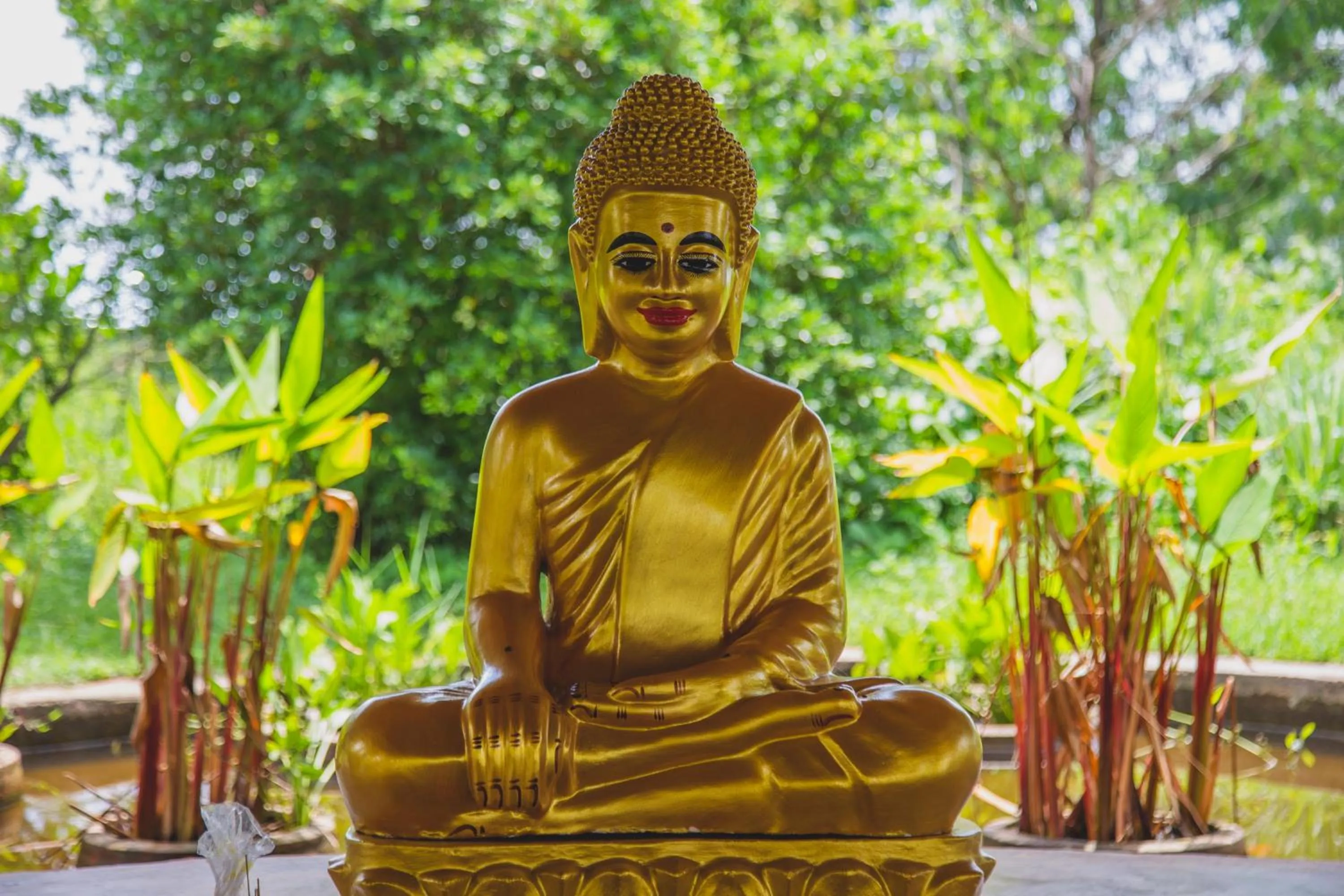 Hanchey Bamboo Resort