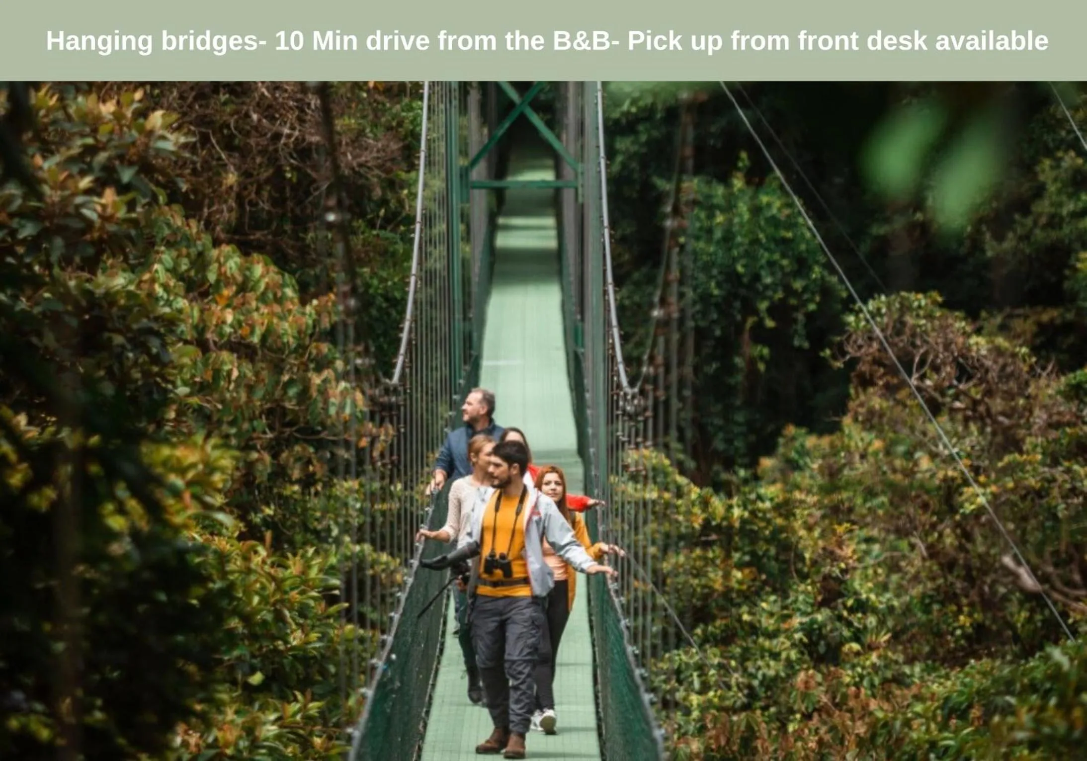 Activities in Camino Verde B&B Monteverde Costa Rica