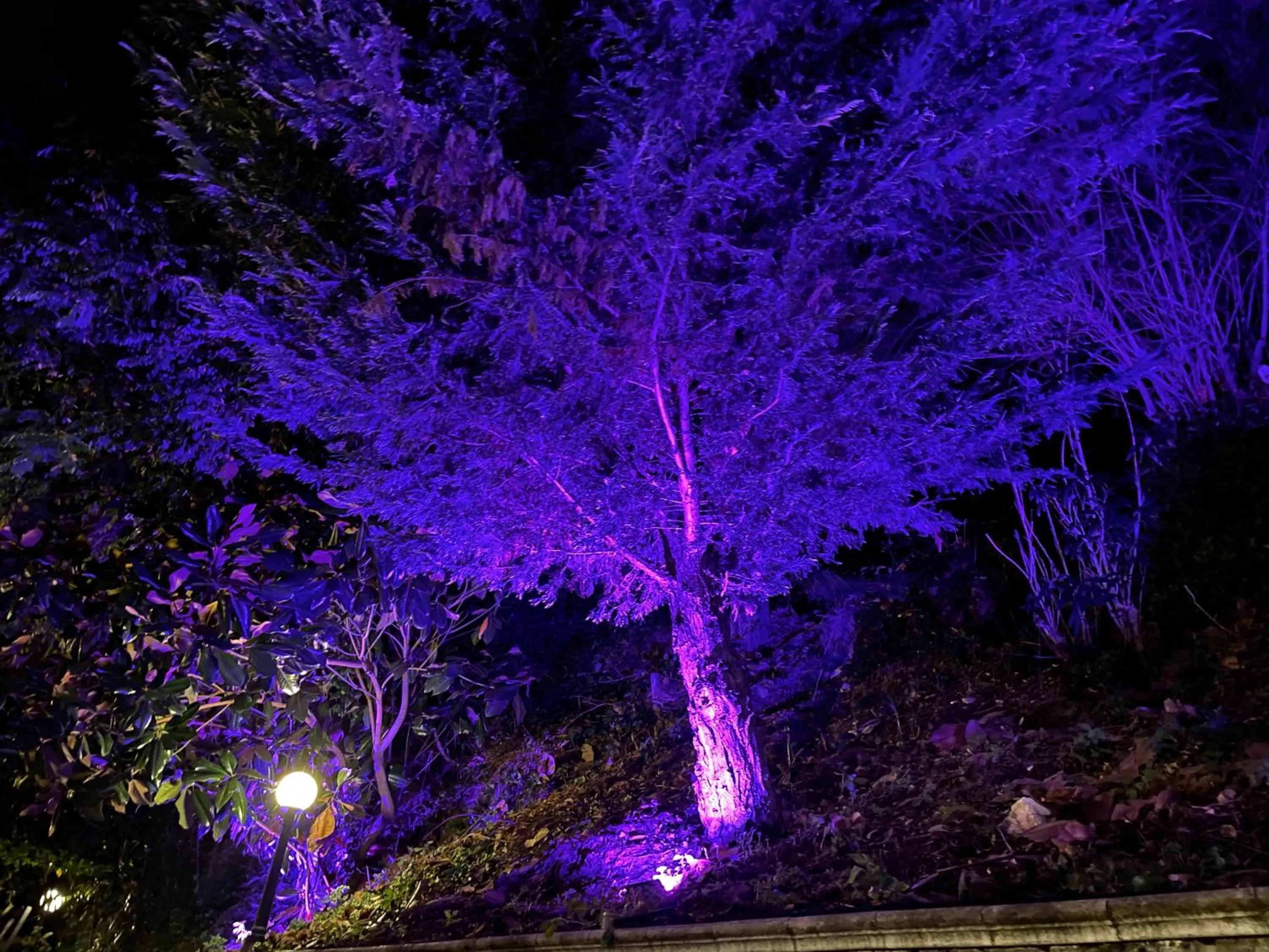 Property building in La Contessa B&B