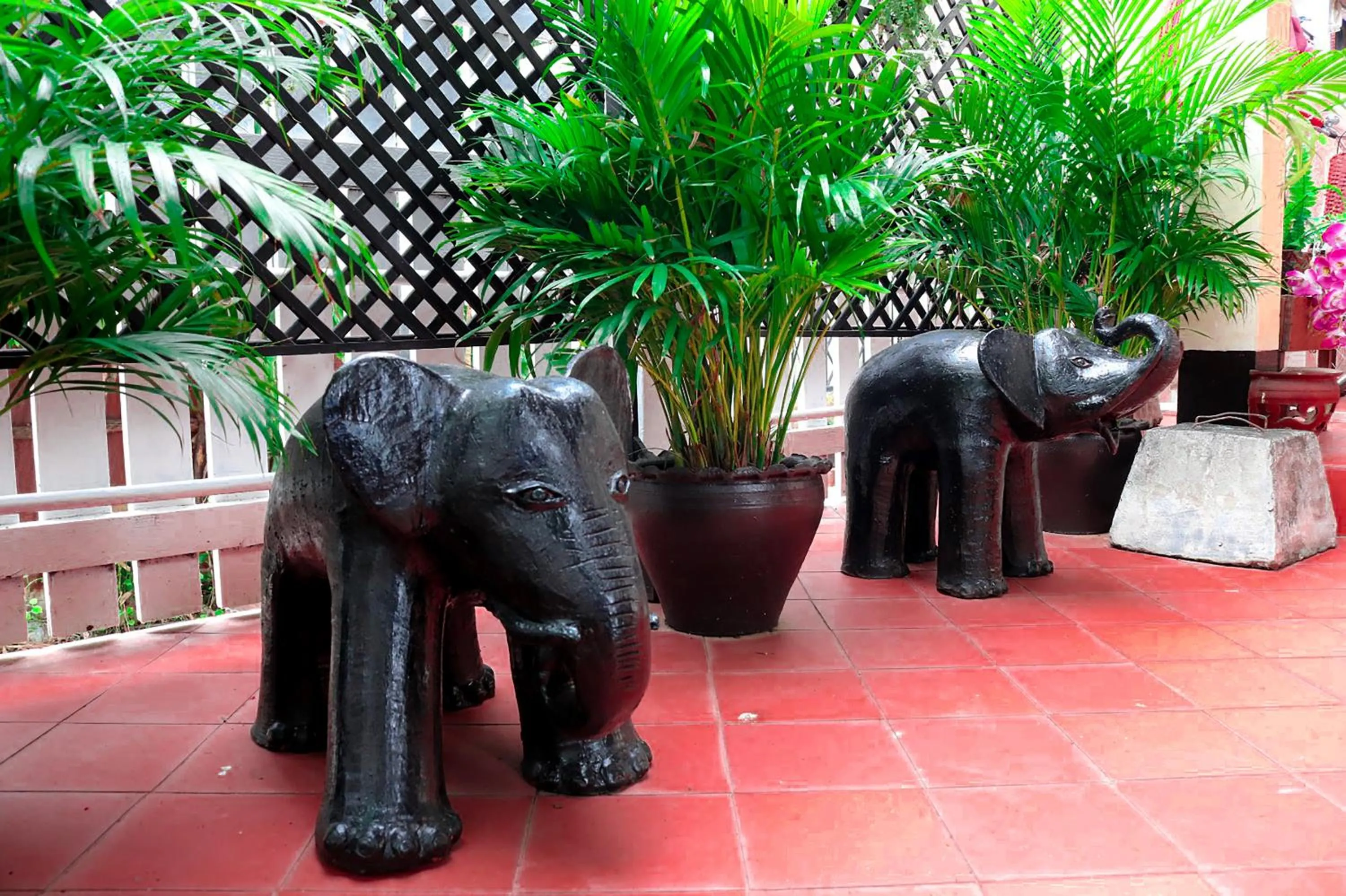 Balcony/Terrace in Ban Lakkham River View