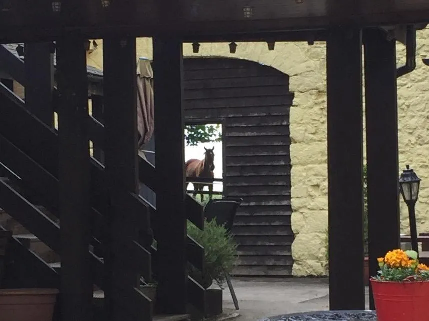 Other in Carrygerry Country House