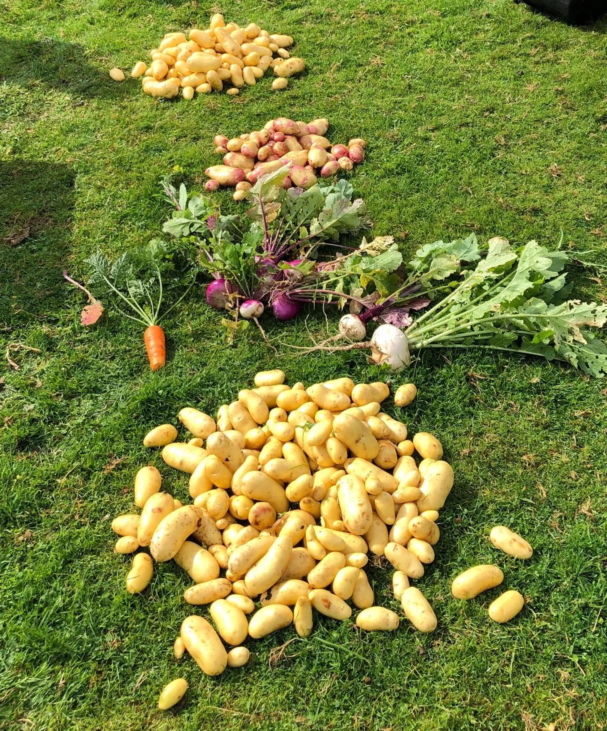 On site in Highland Croft B&B