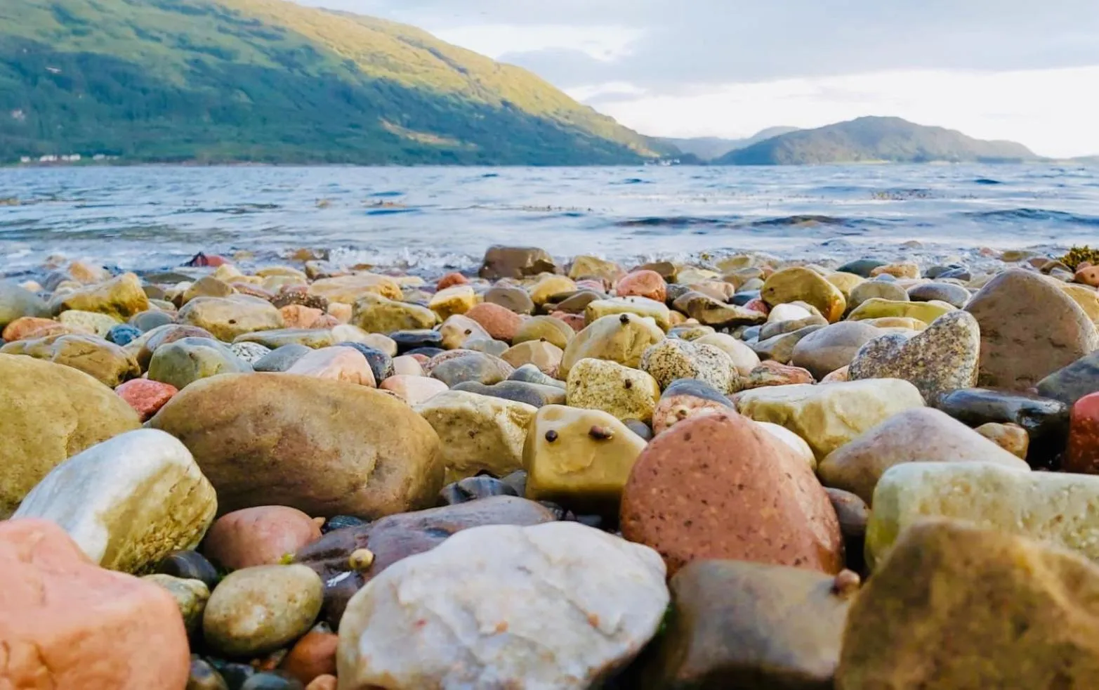 On site in Highland Croft B&B