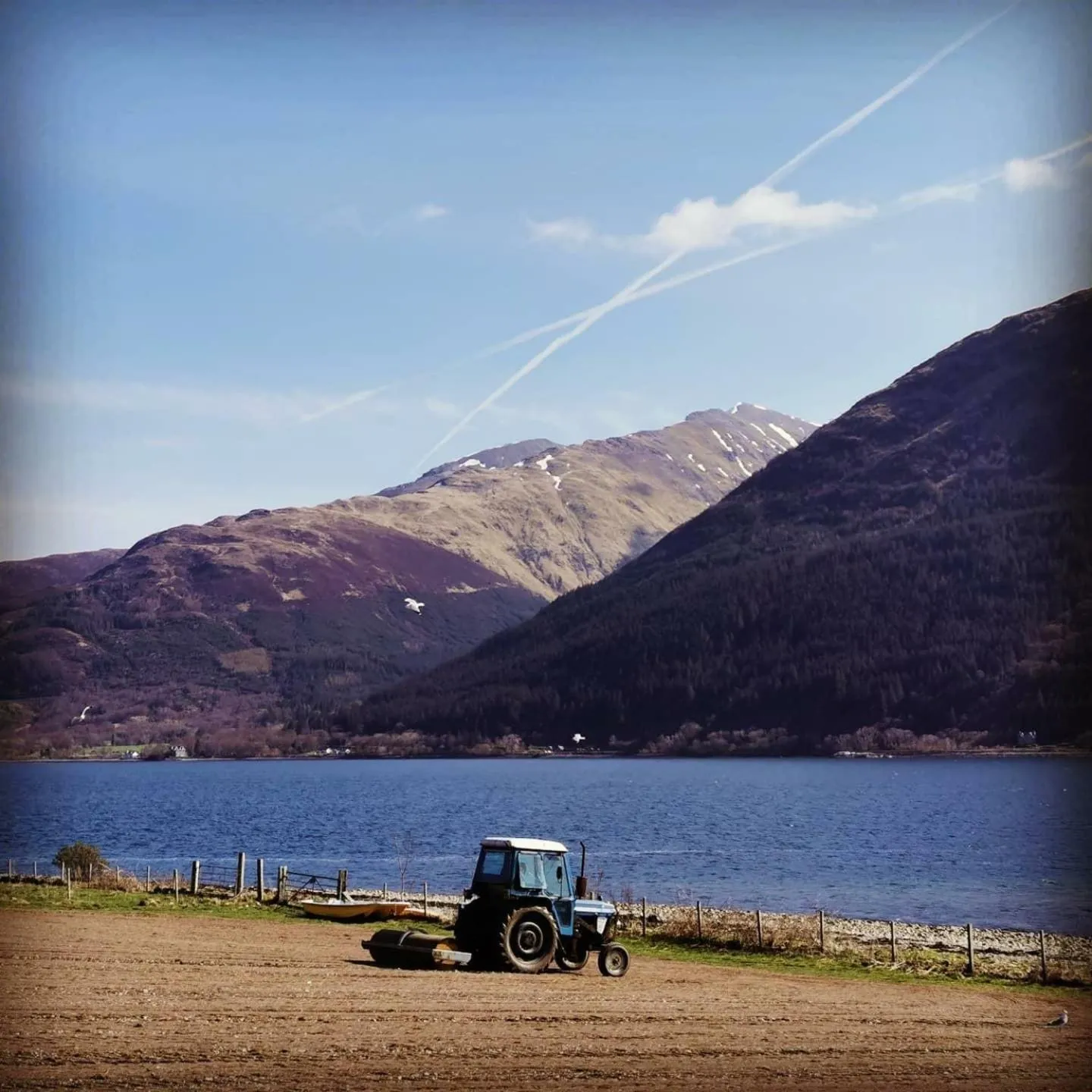 Spring in Highland Croft B&B