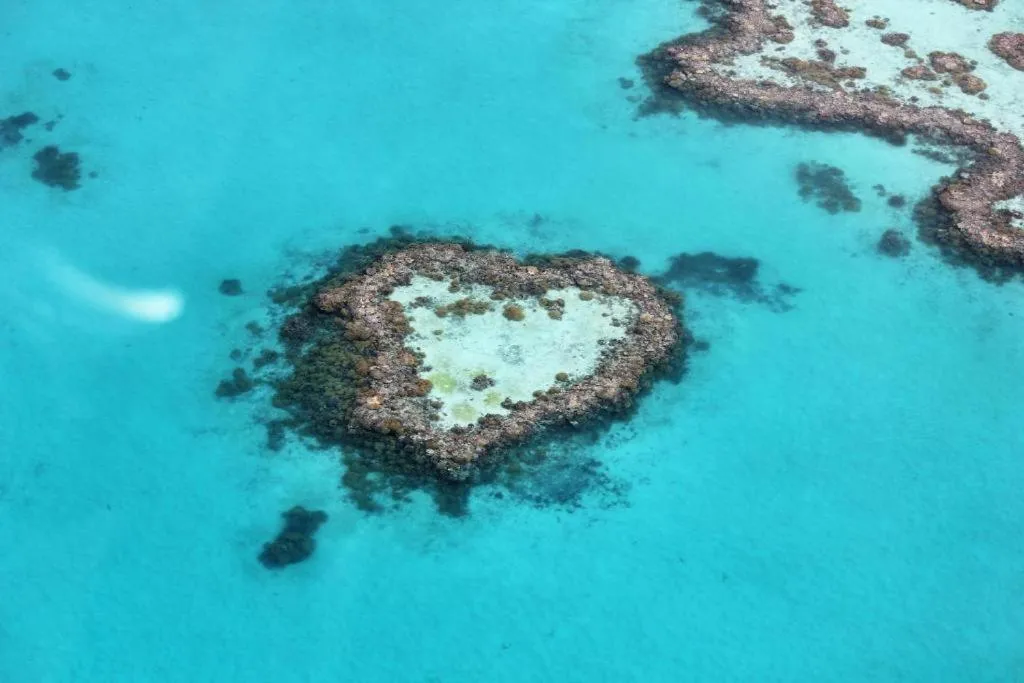 Activities in Koala Beach Resort Cairns