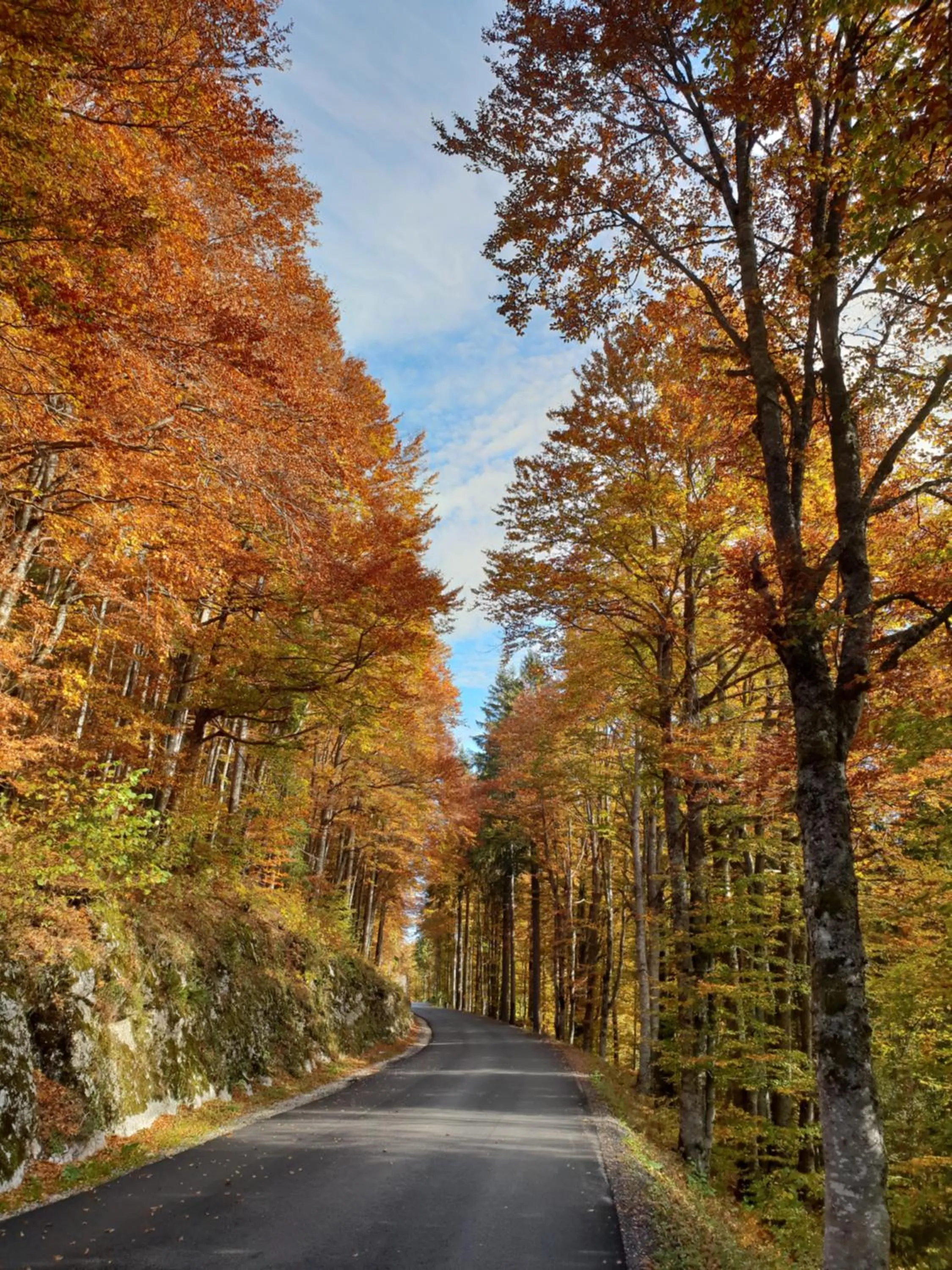Lodge Hotel Les Rousses