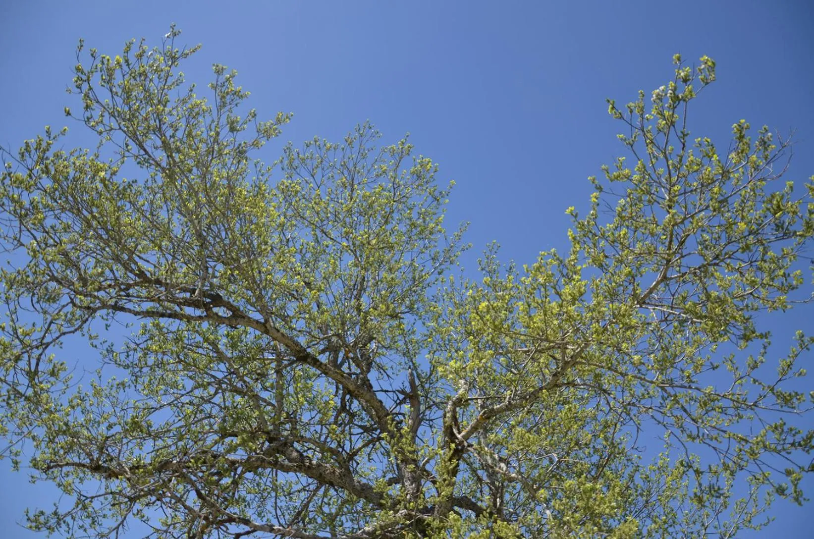 Lodge Hotel Les Rousses