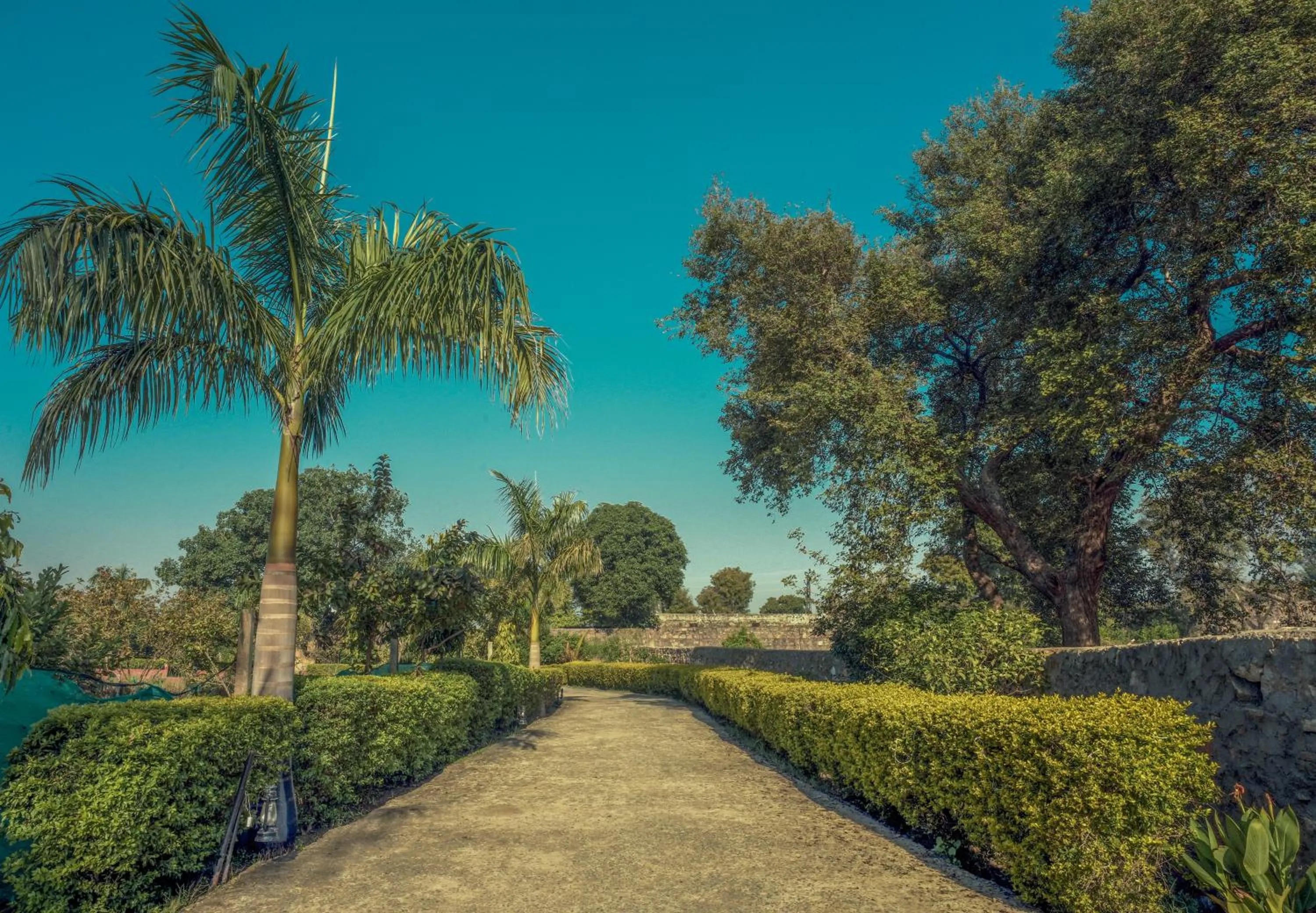 Facade/entrance in Paridhi Niwas, Ranthambore- near Tiger Safari Zones 1-5