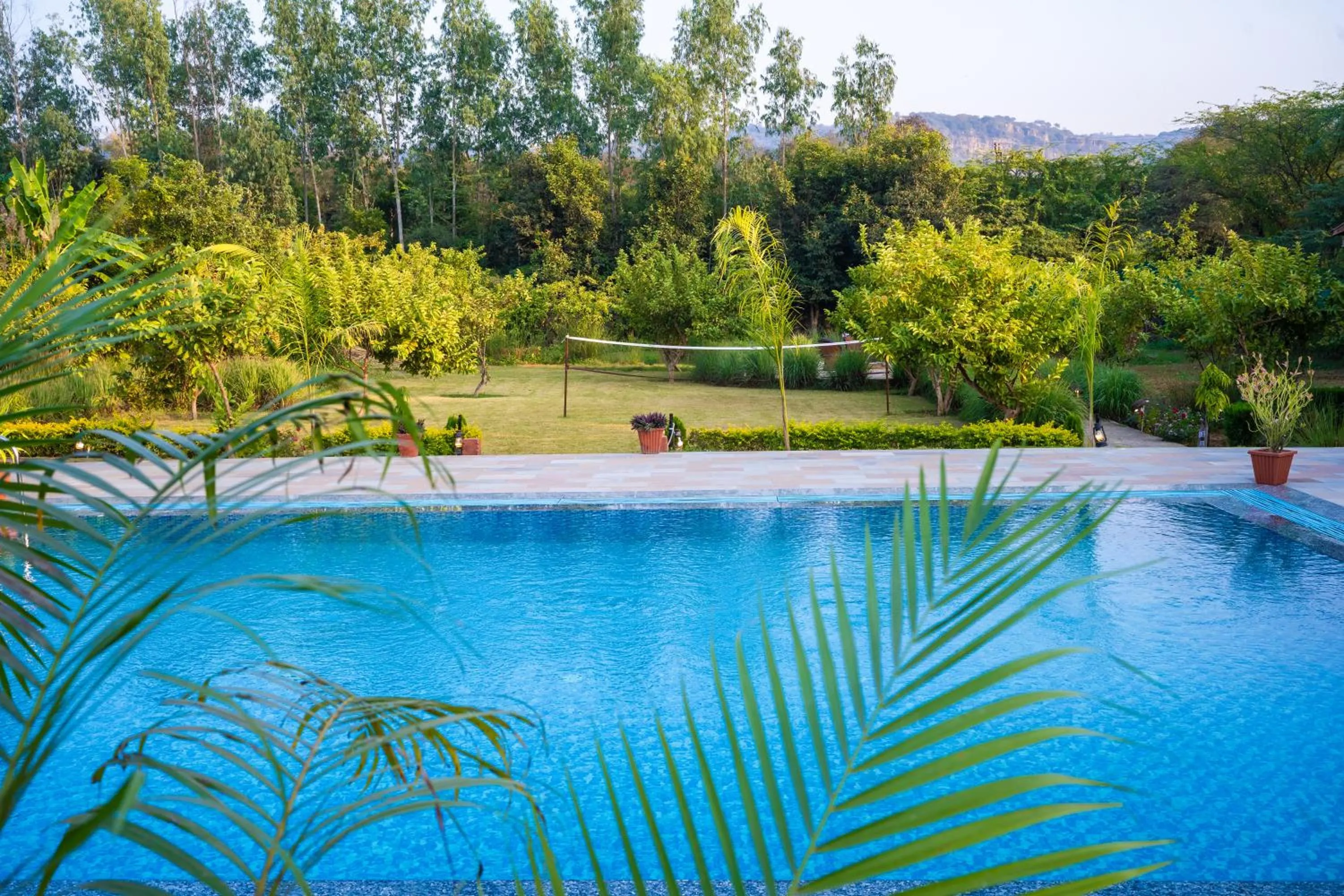 Garden in Paridhi Niwas, Ranthambore- near Tiger Safari Zones 1-5