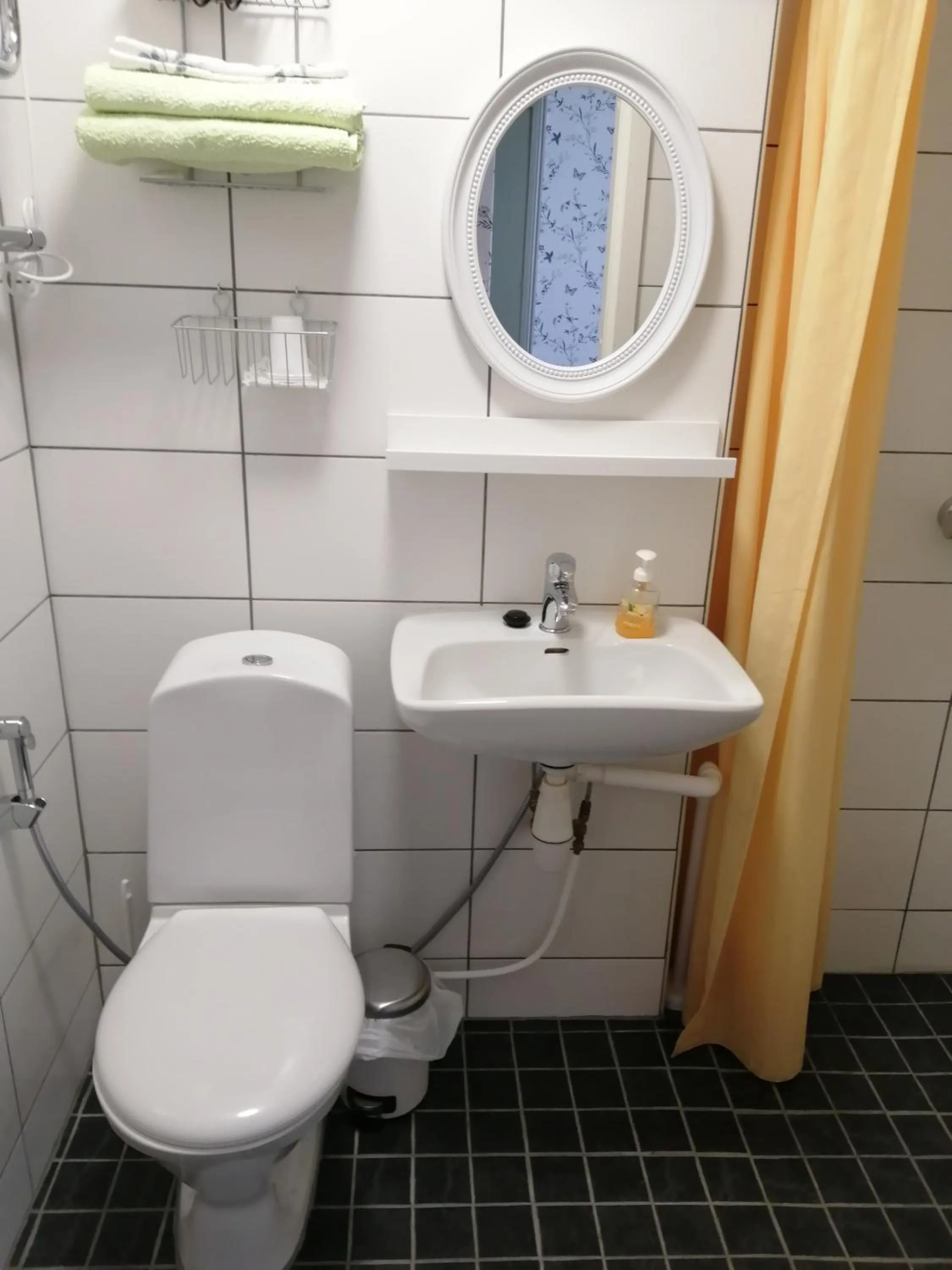 Toilet in Mäntyluodon Hotelli