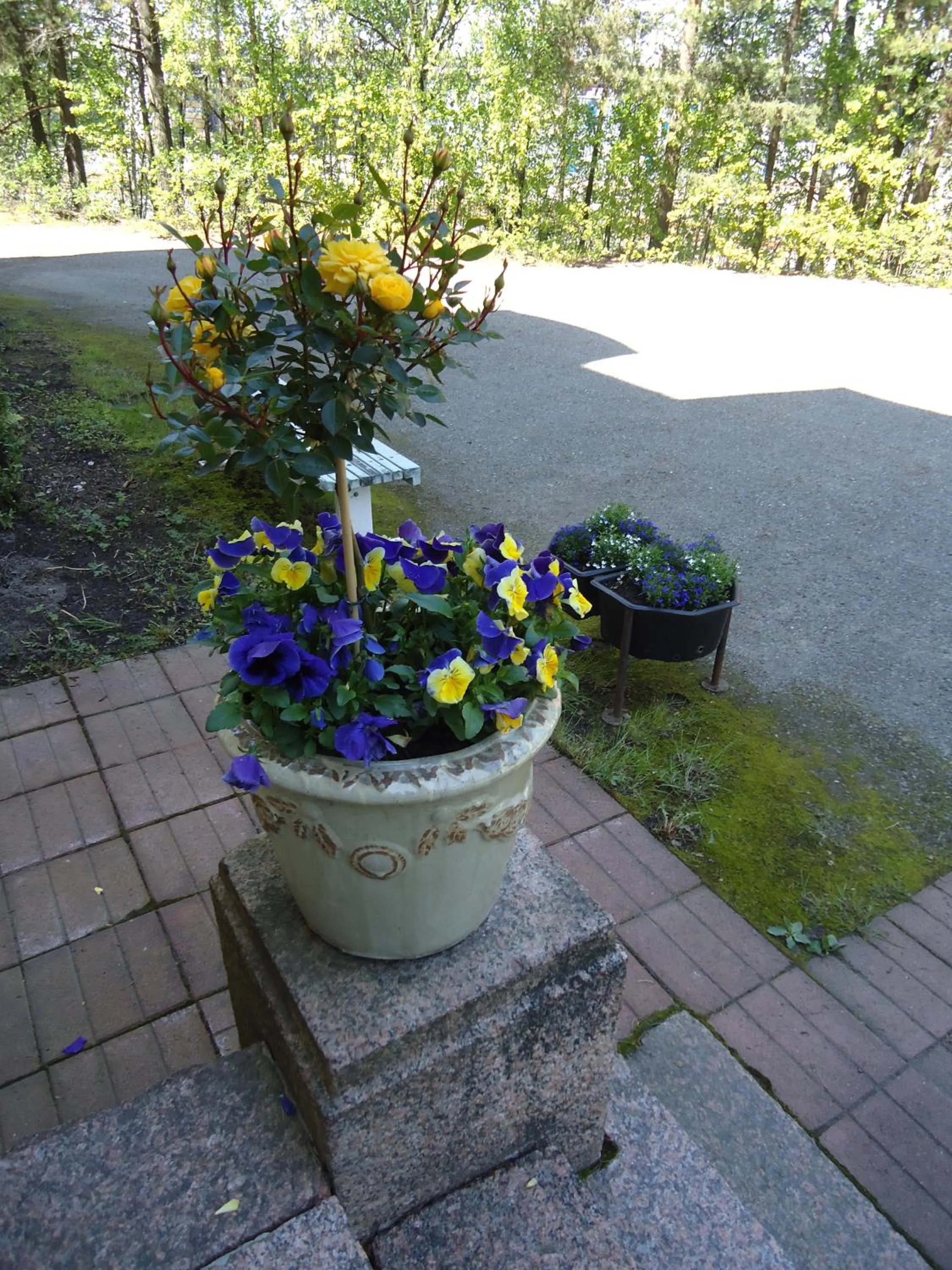 Facade/entrance in Mäntyluodon Hotelli