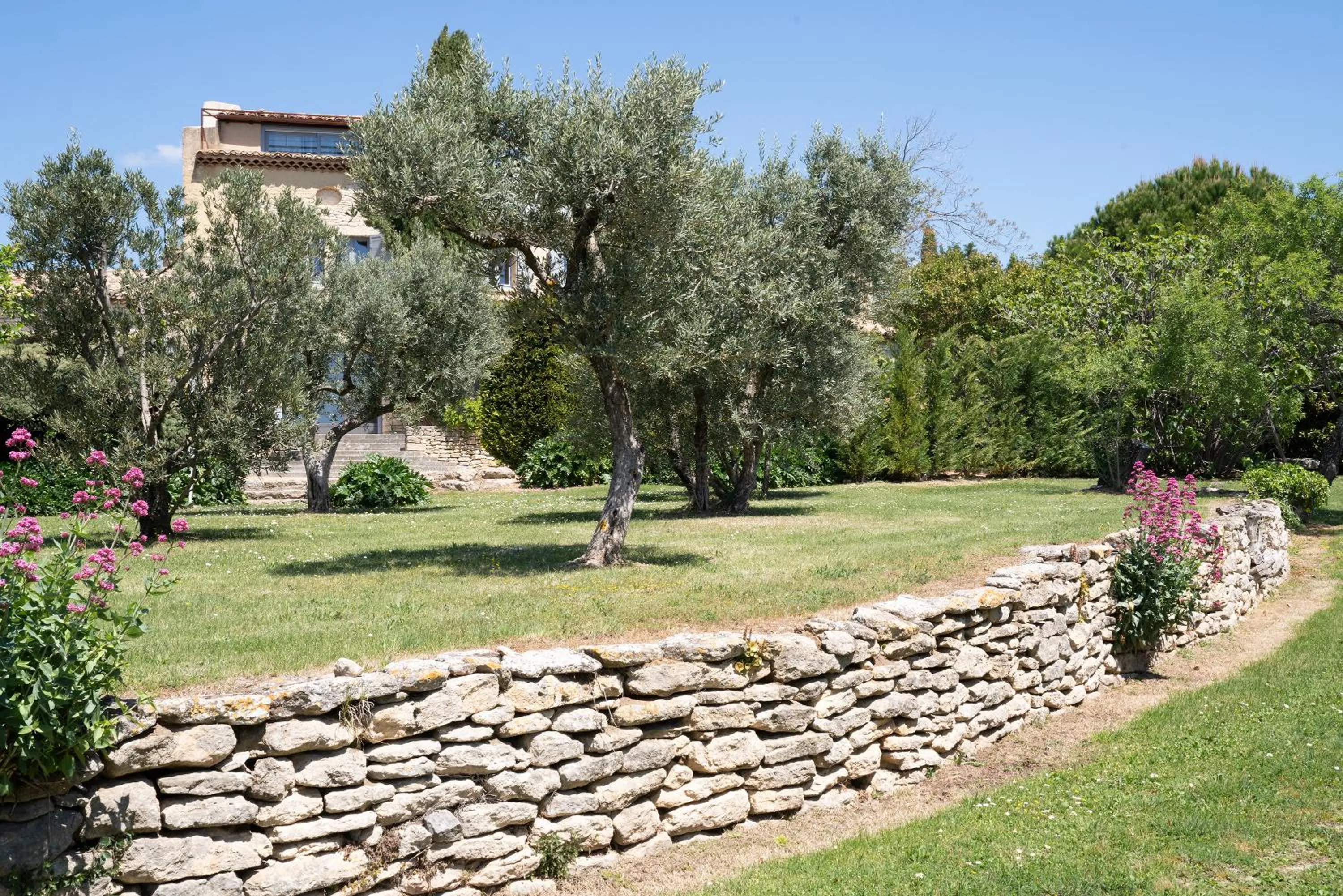 Garden in Domaine de l'Enclos
