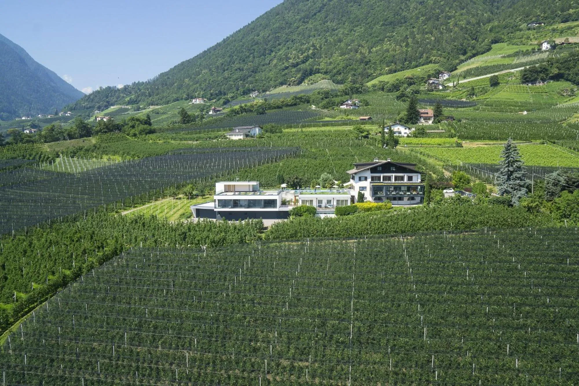 Natural landscape in Hotel Törggelehof