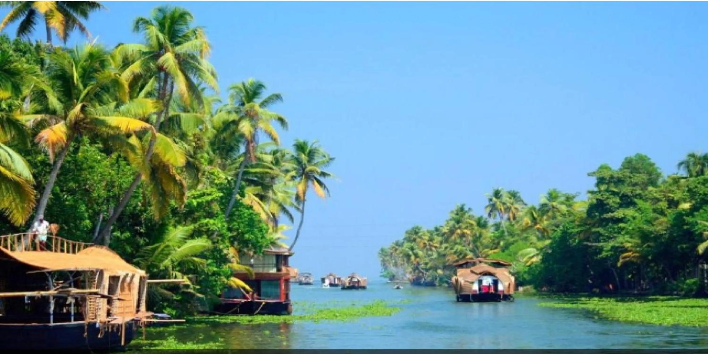 Garden in Aura One Hotel